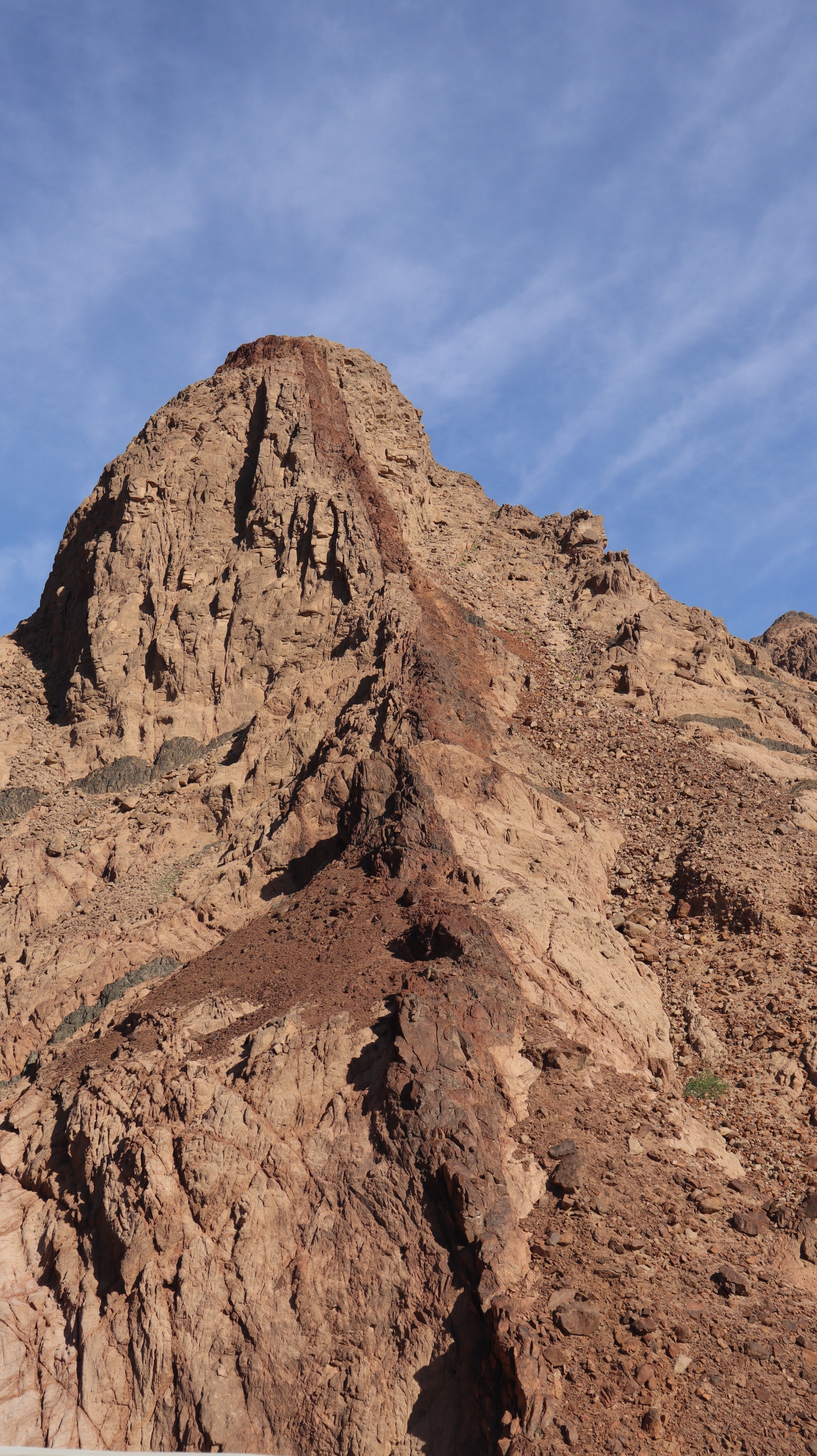 IMG_9490_copy_1891x3368.jpg