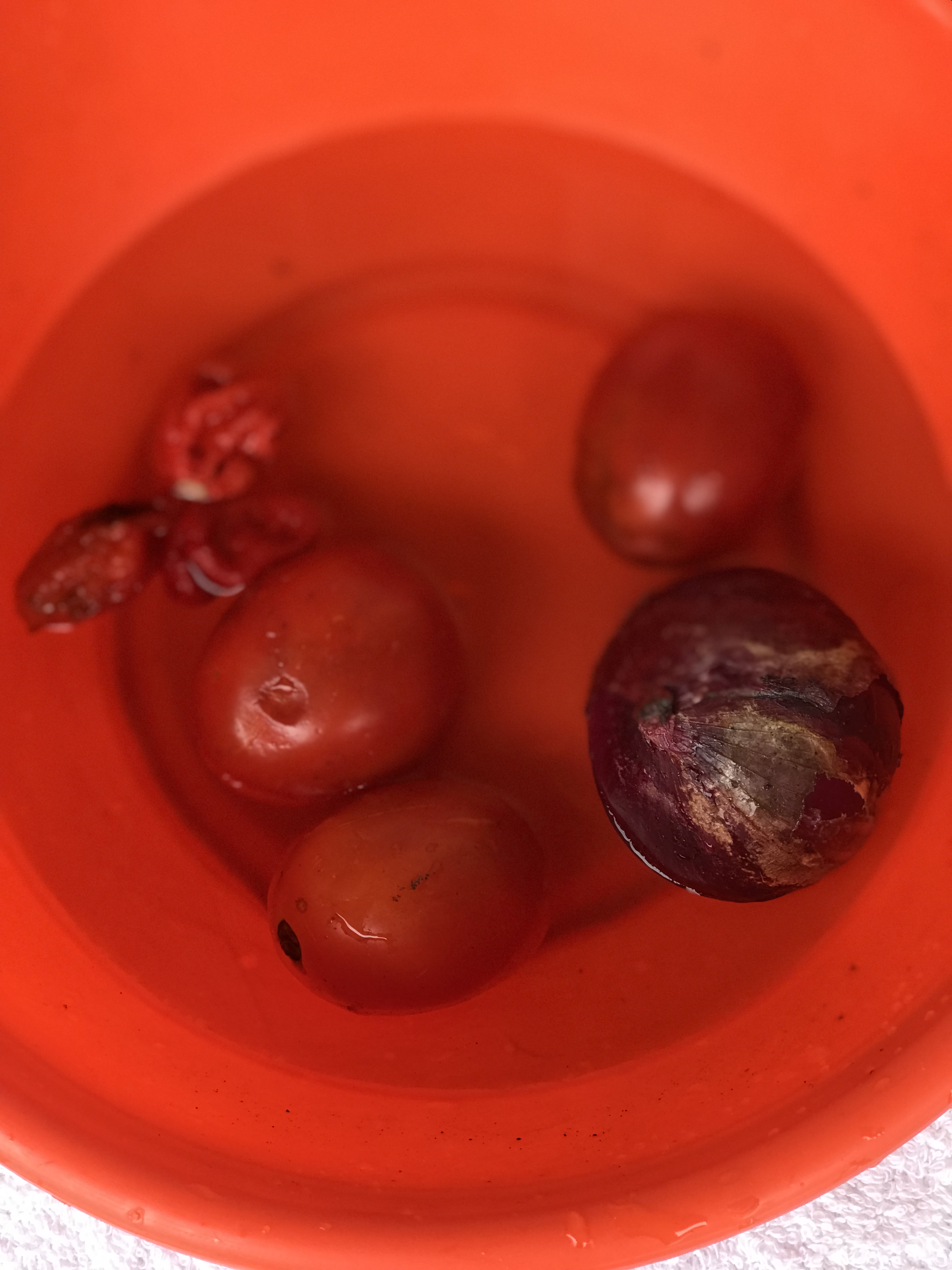 06D72F24-148F-4762-B3B8-D048028145F4.jpeg