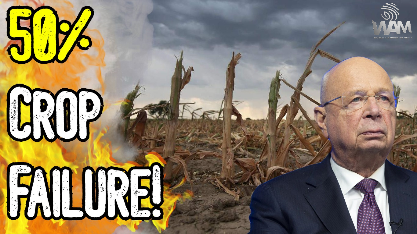 huge 50 percent crop failure thumbnail.png