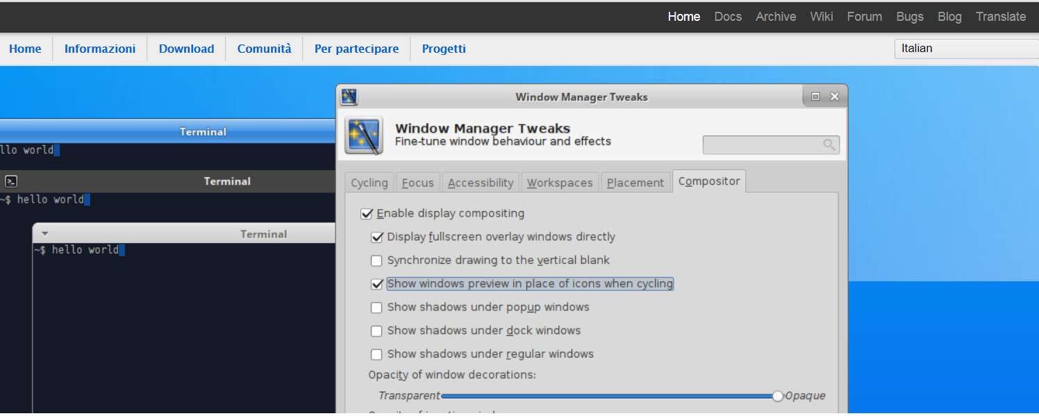 24.-Xubuntu-20.10-Windows-Manager-Tweaks.png