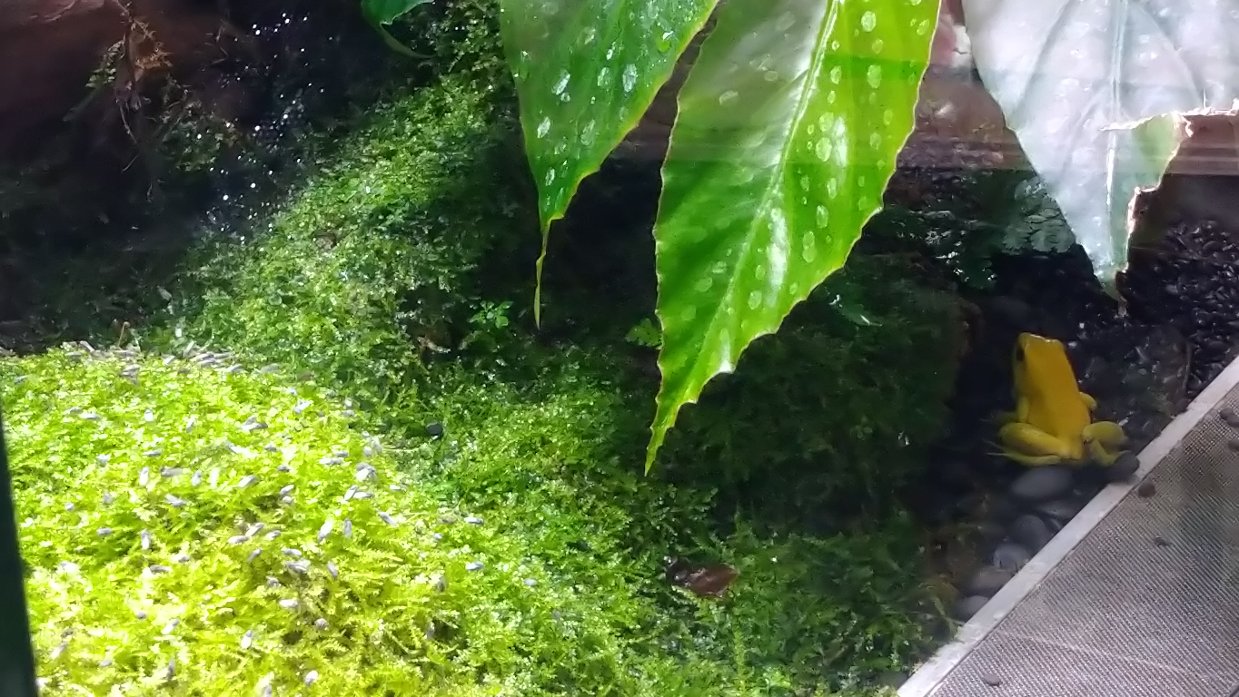 DSC_7662.JPG