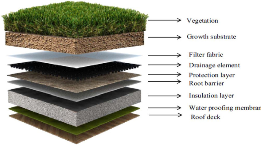 Components-of-green-roof-25.png