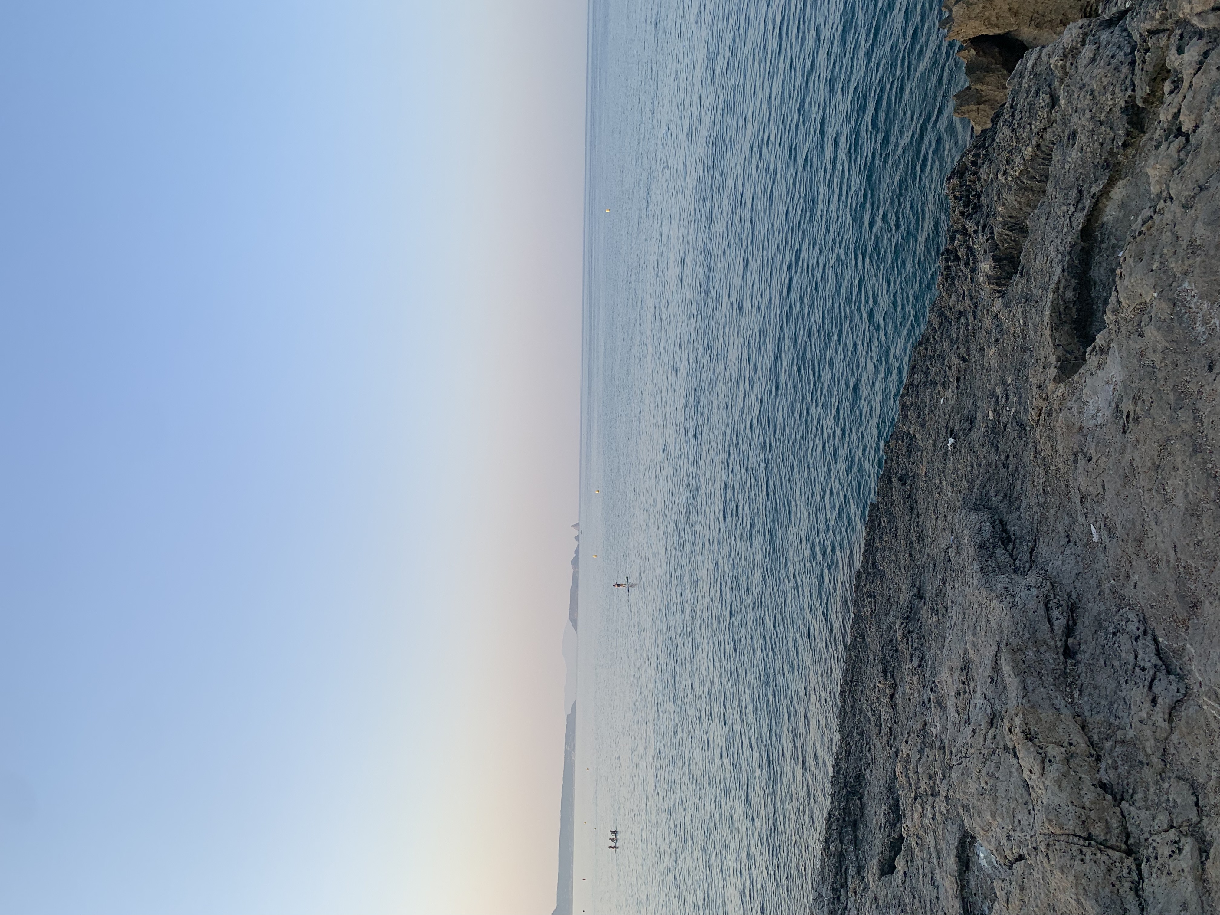 IMG_2017.jpeg
