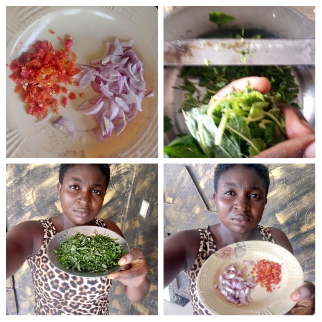 IMG_20250815_213445-COLLAGE.jpg