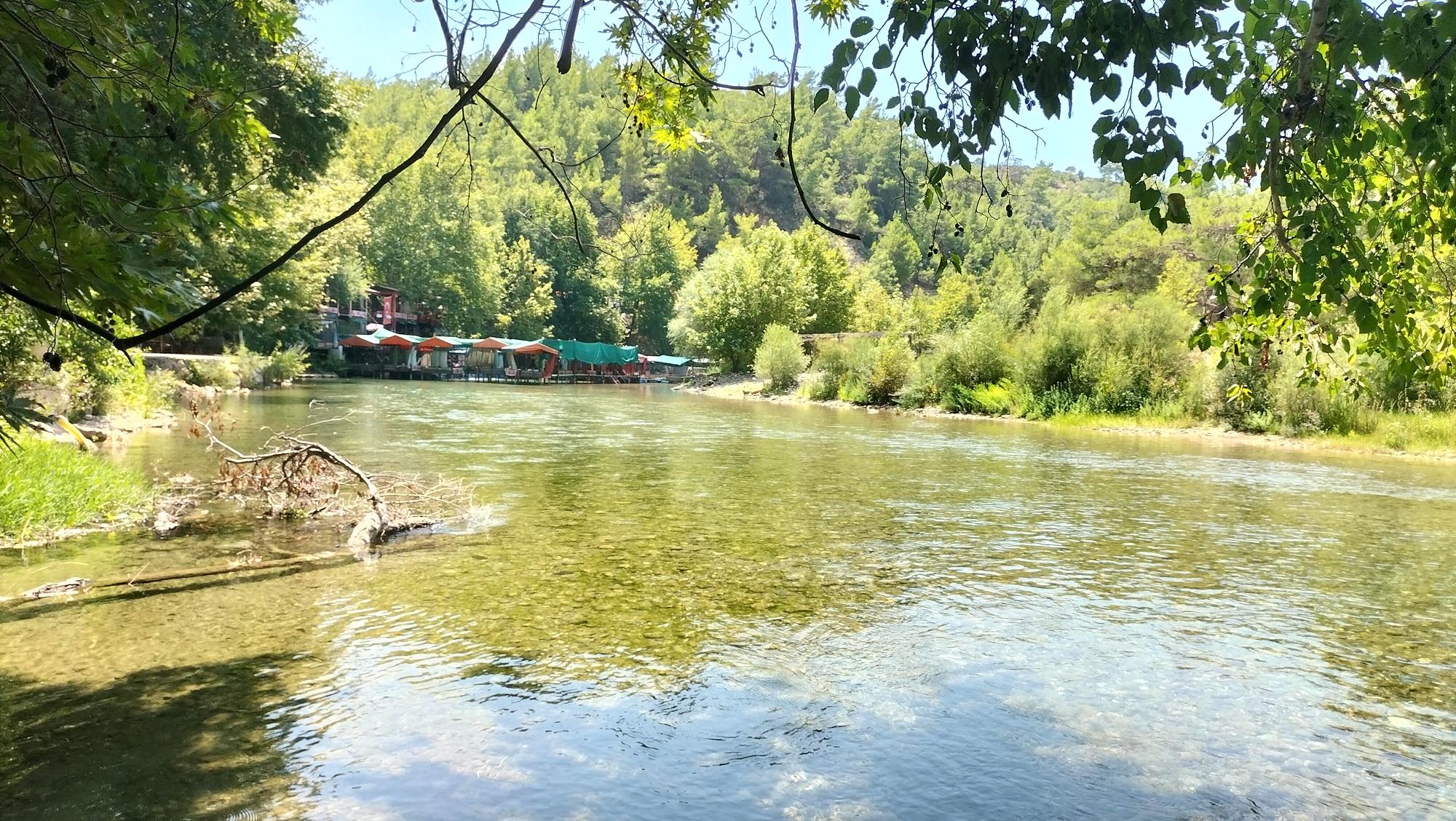 IMG20250806123749.jpg