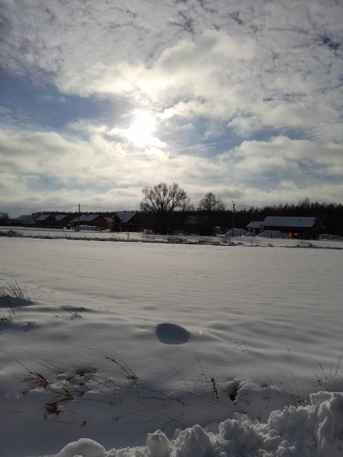 IMG-20250130-WA0000.jpg