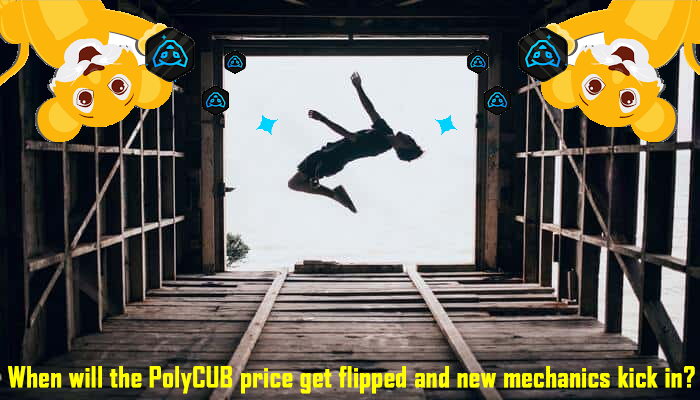 polycub_flip.png