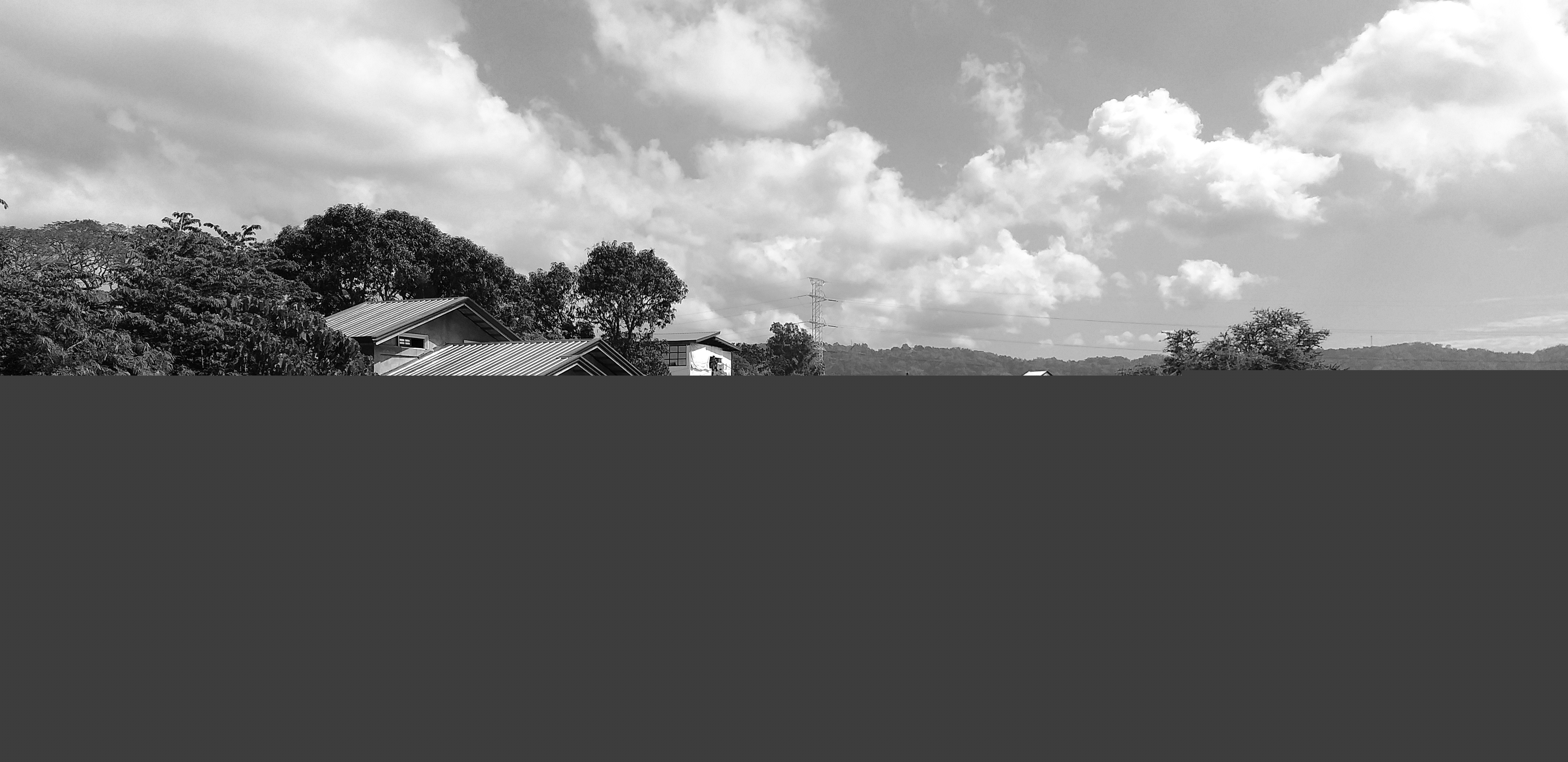 20220202_104356-01.jpeg