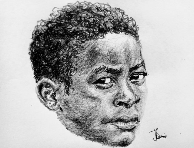 cedi6.jpg
