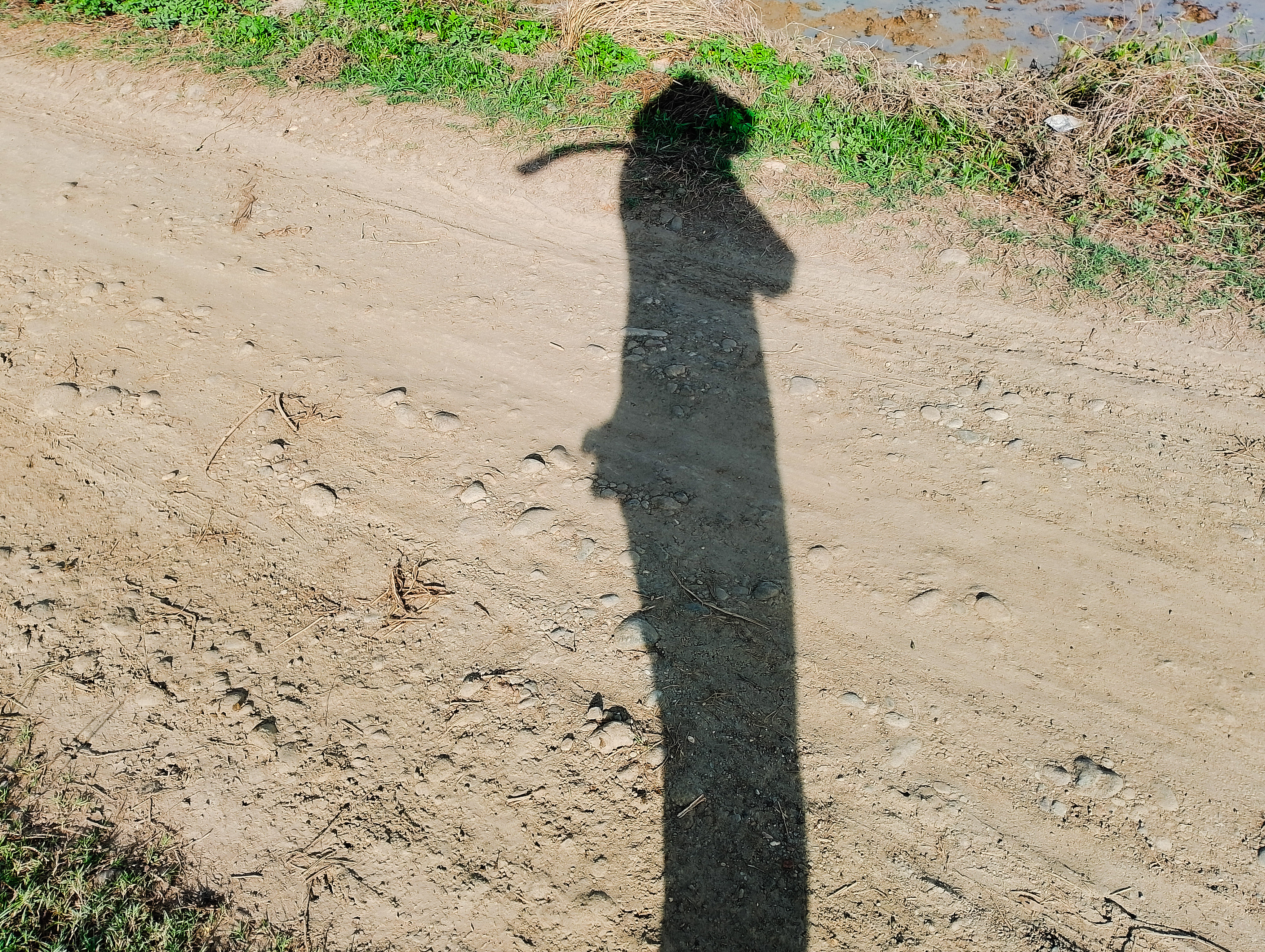 PSX_20250722_090048.jpg