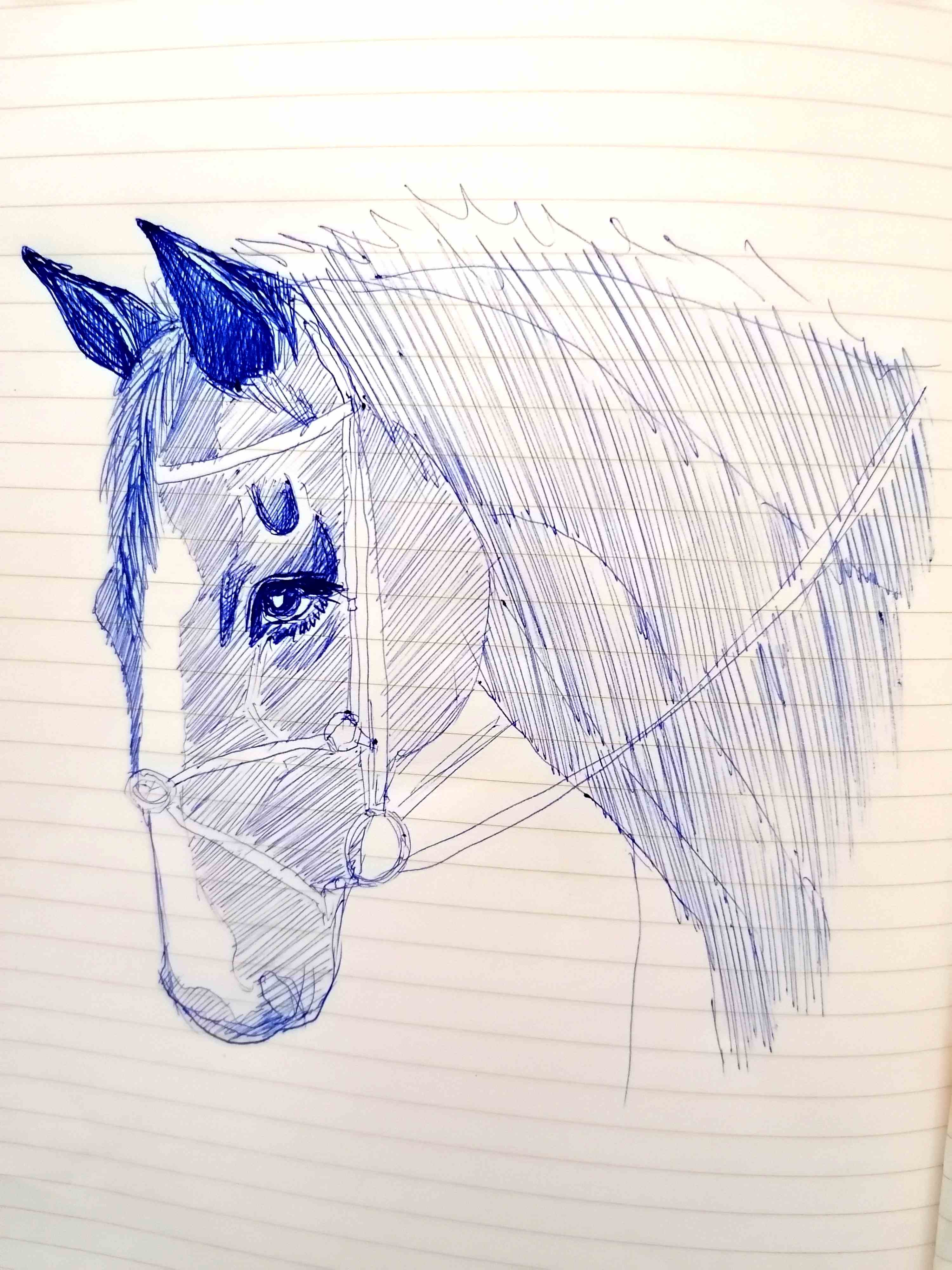 5543873603469208882.jpg