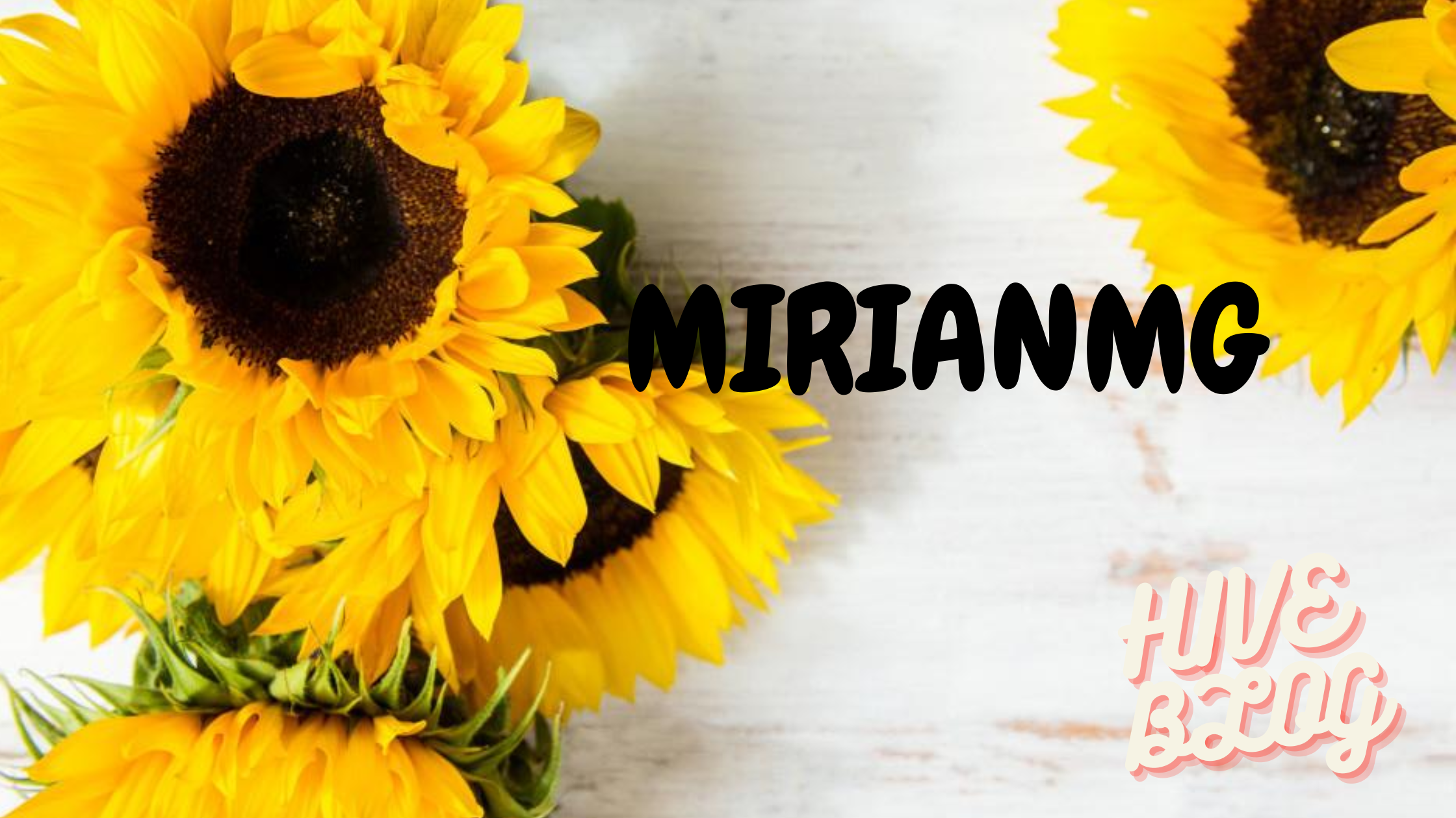 mirianbanner.png