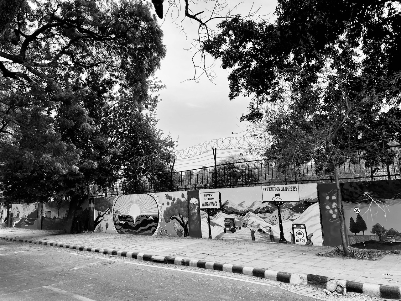IMG_8128.jpeg