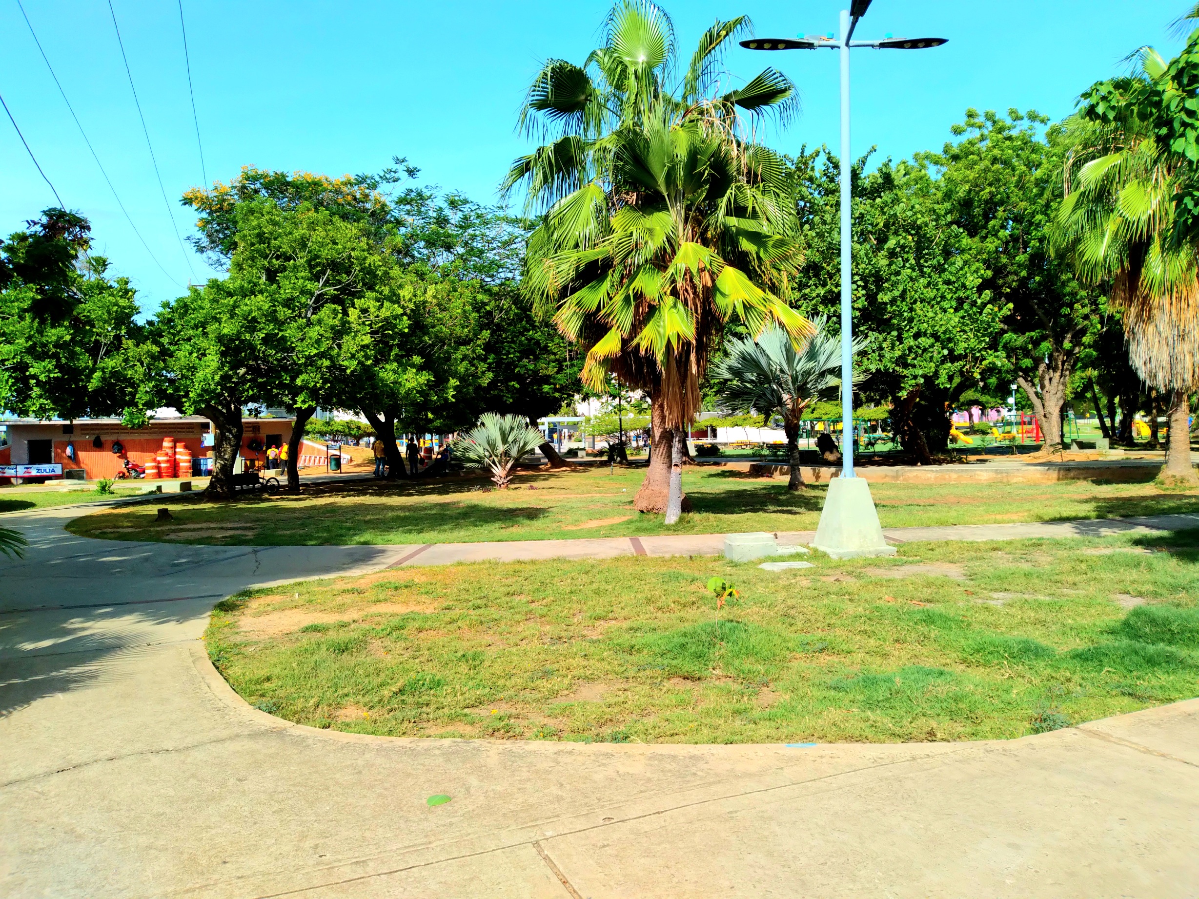 20250604_091346.jpg