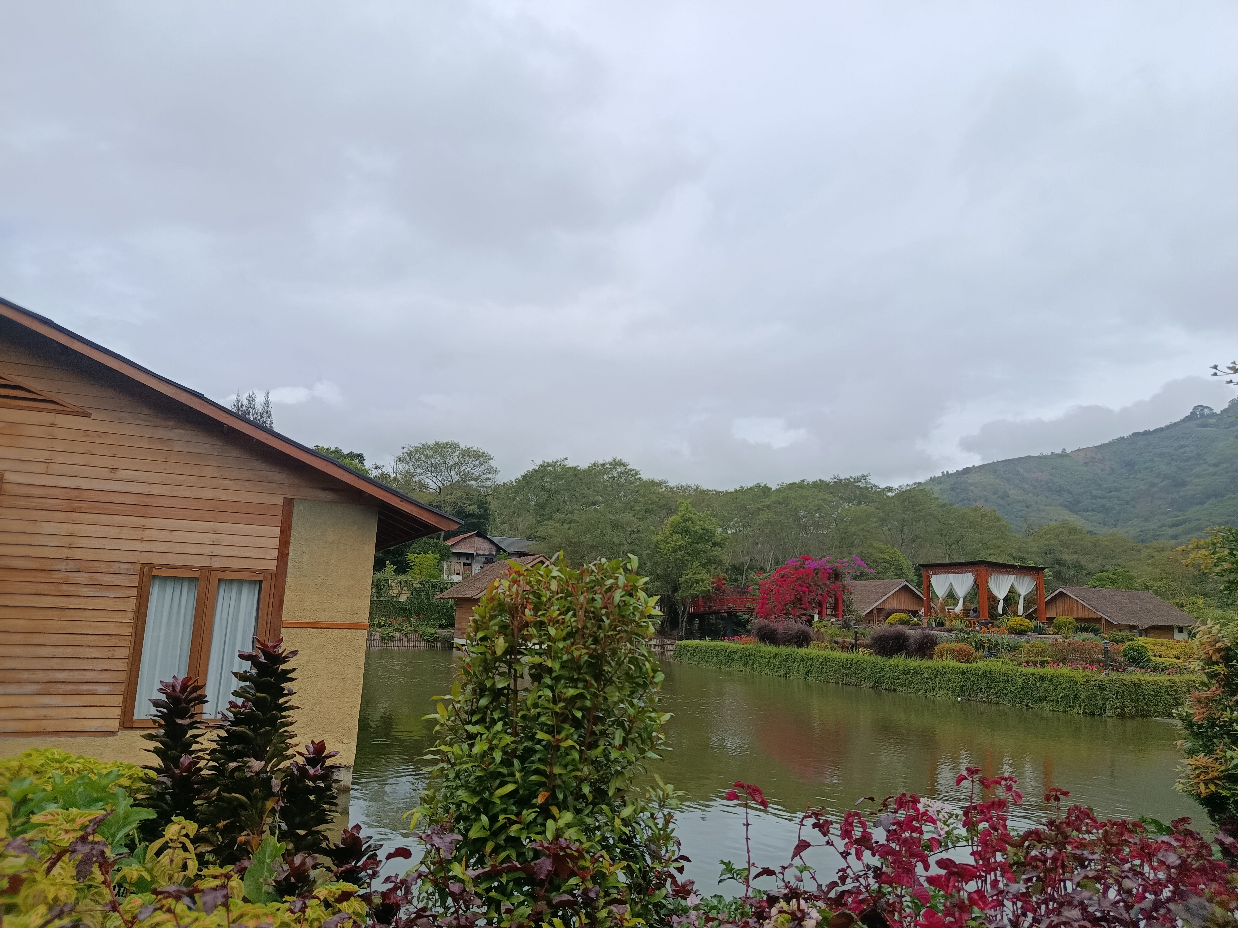 IMG_20250712_142814.jpg