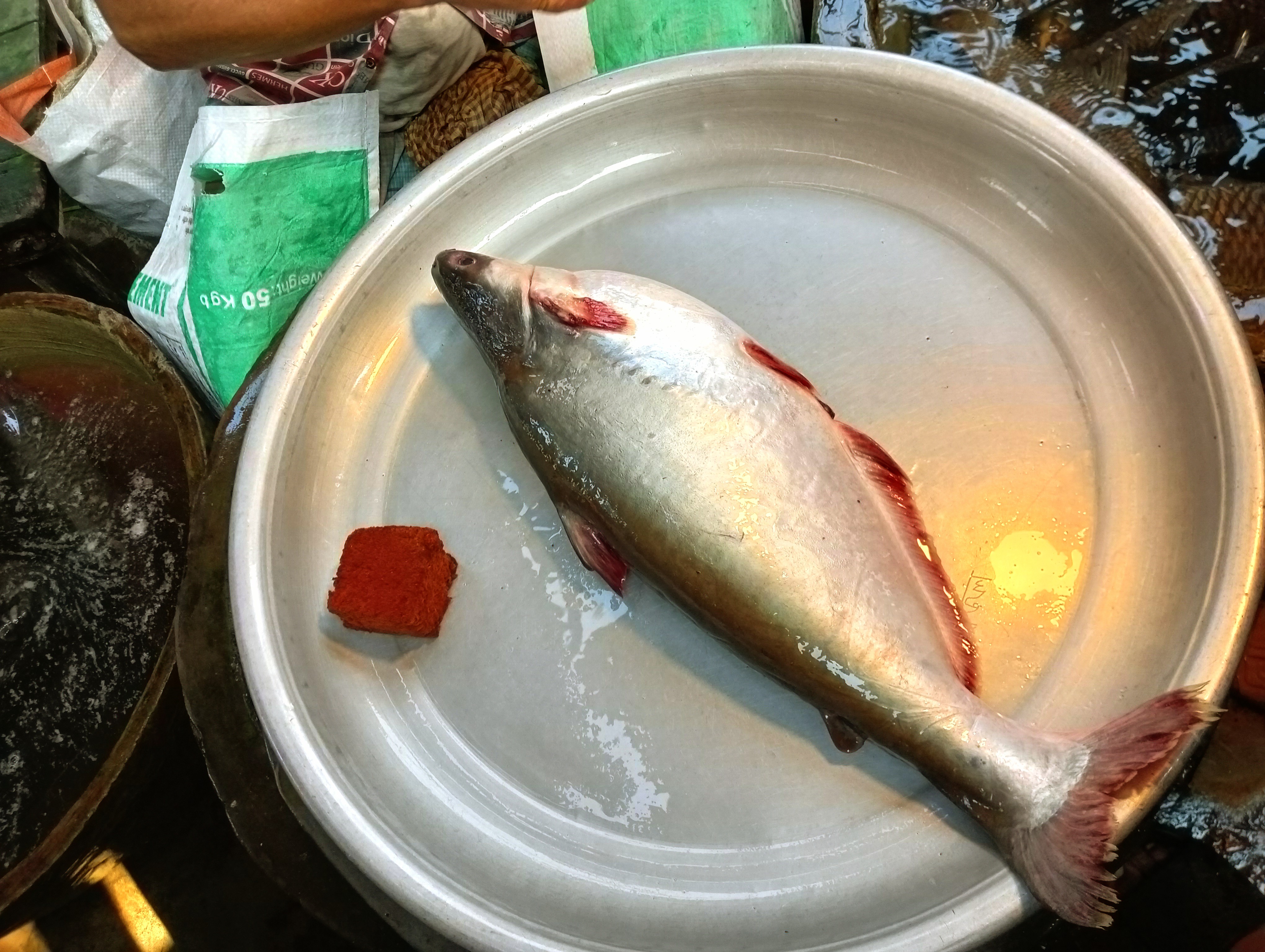 IMG20250508074455.jpg