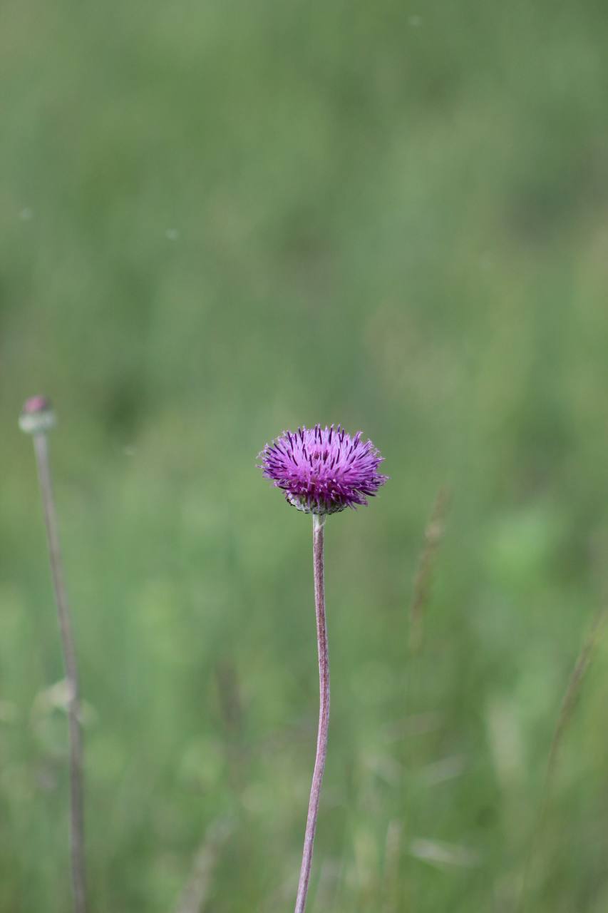 IMG_5090.jpeg