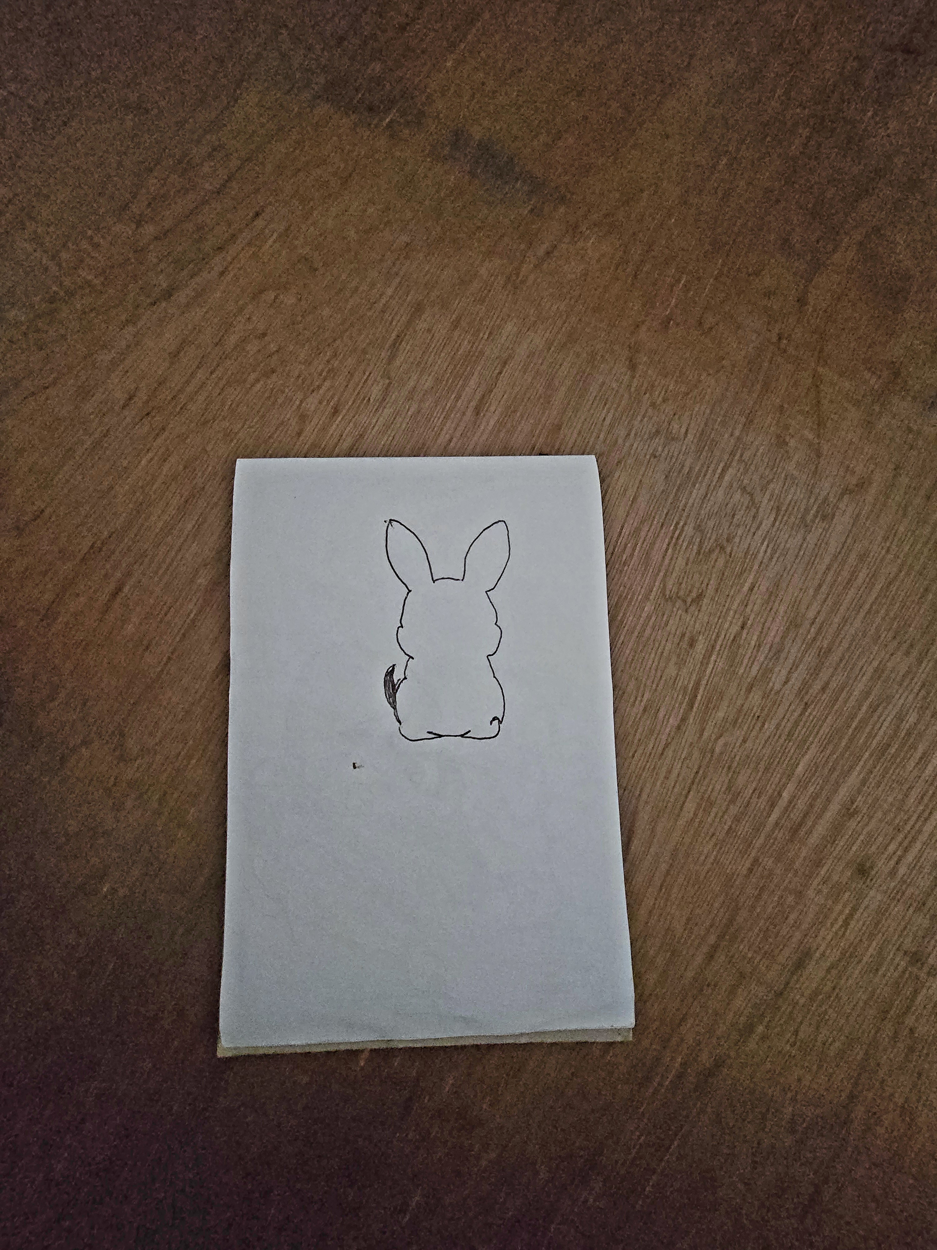 20250420_105754.jpg
