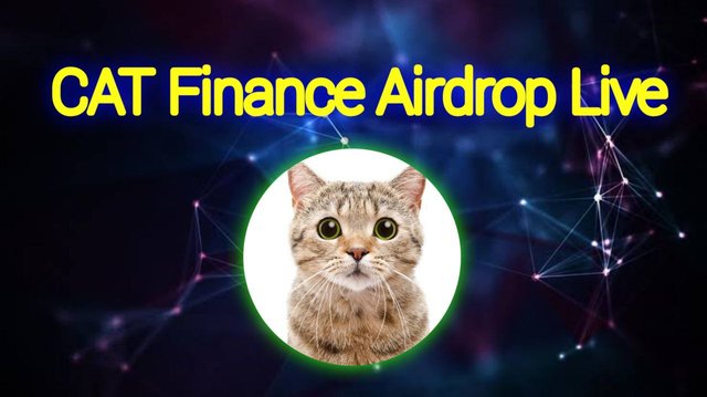 The scam Cat Finance airdrop banner.