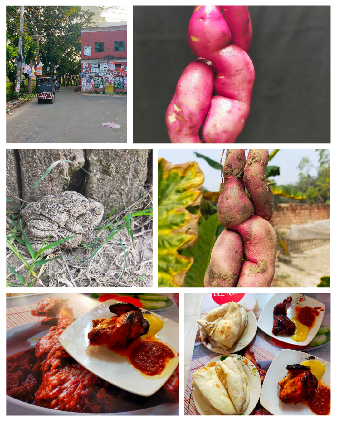 Modern Aesthetic Photo Collage Of Memories With Friends Instagram Post_20250612_201948_0000.png