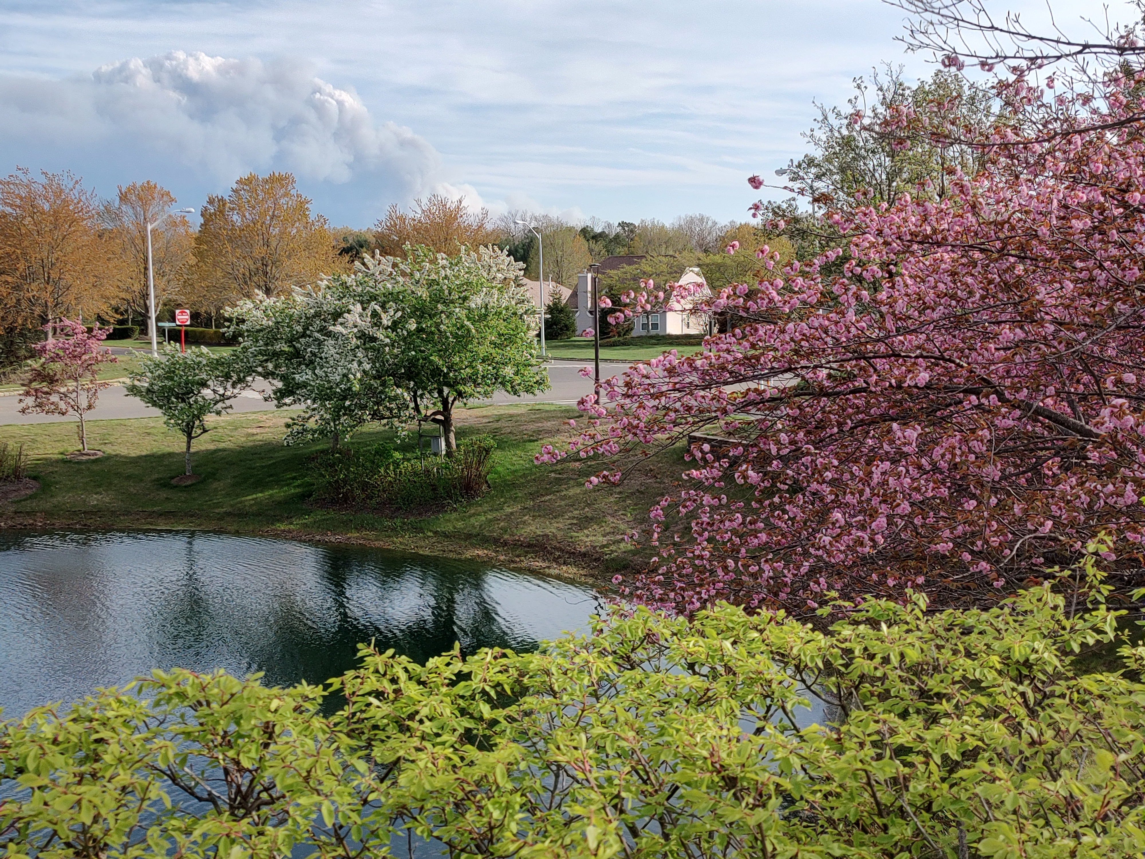 IMG_20250422_172109239_HDR.jpg