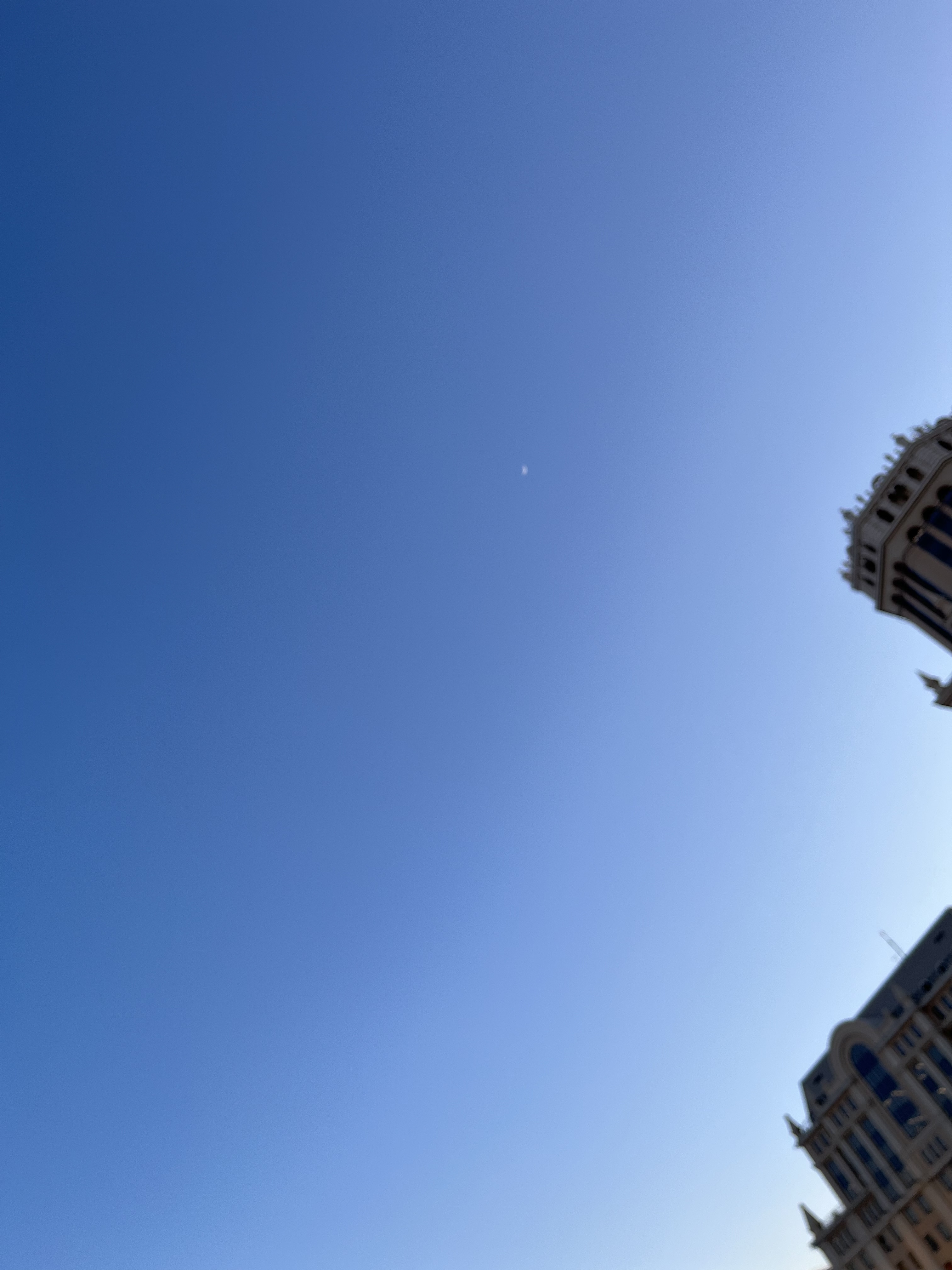 73A14E34-1682-4EC0-A5AE-2CA7860597A6.jpeg