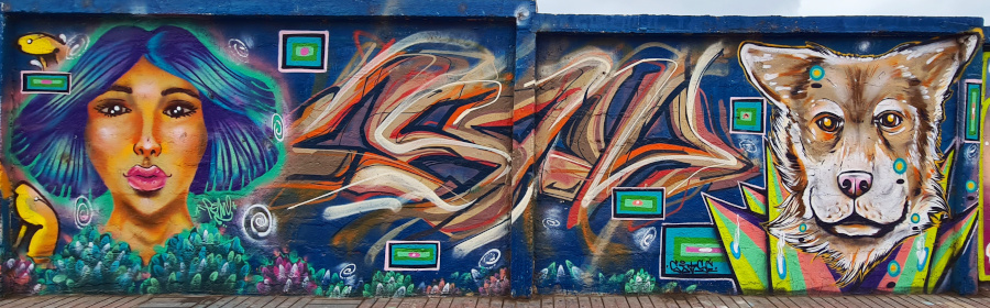 antofagasta-streetart-016.jpg