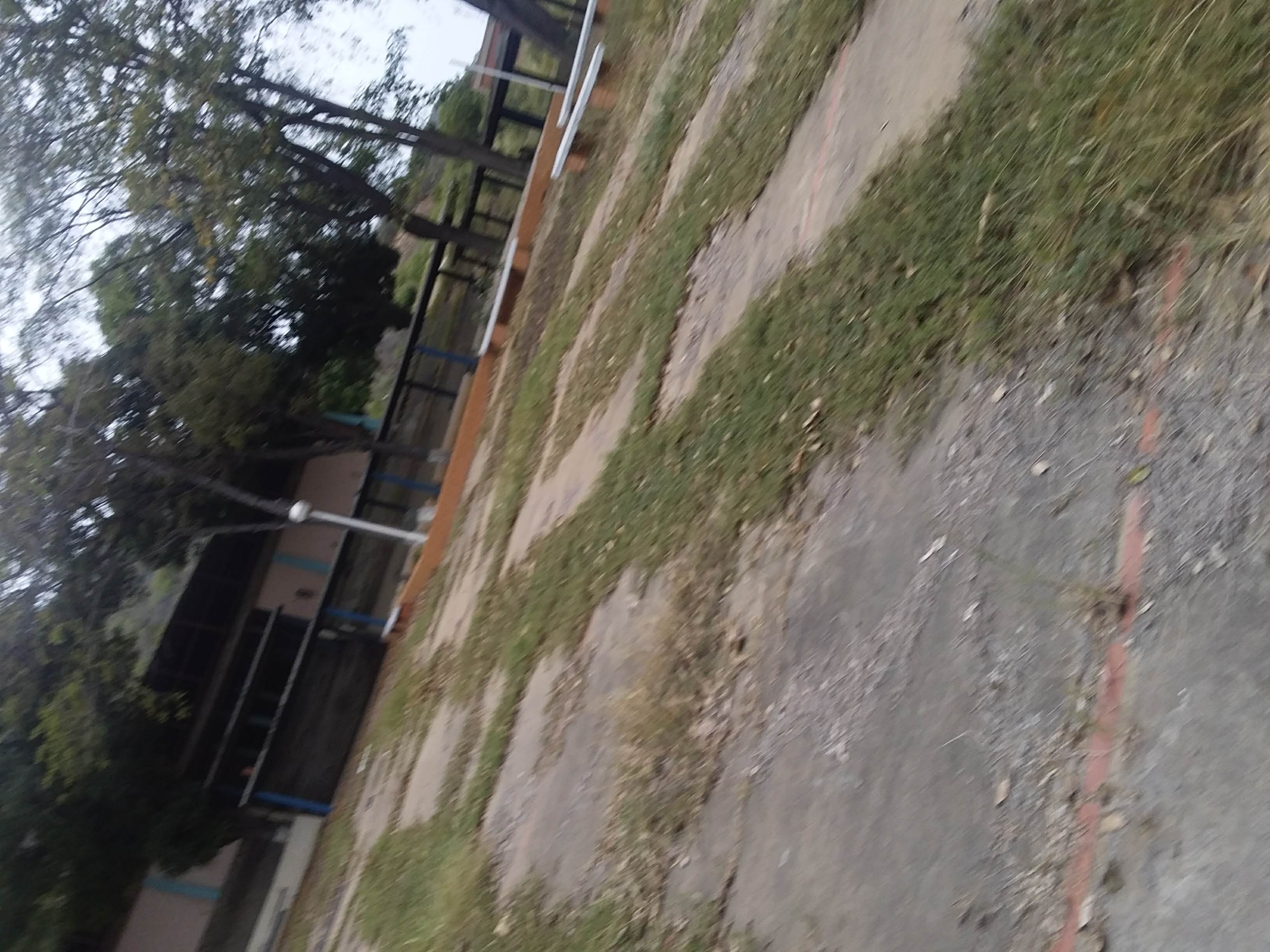 20220310_111531.jpg
