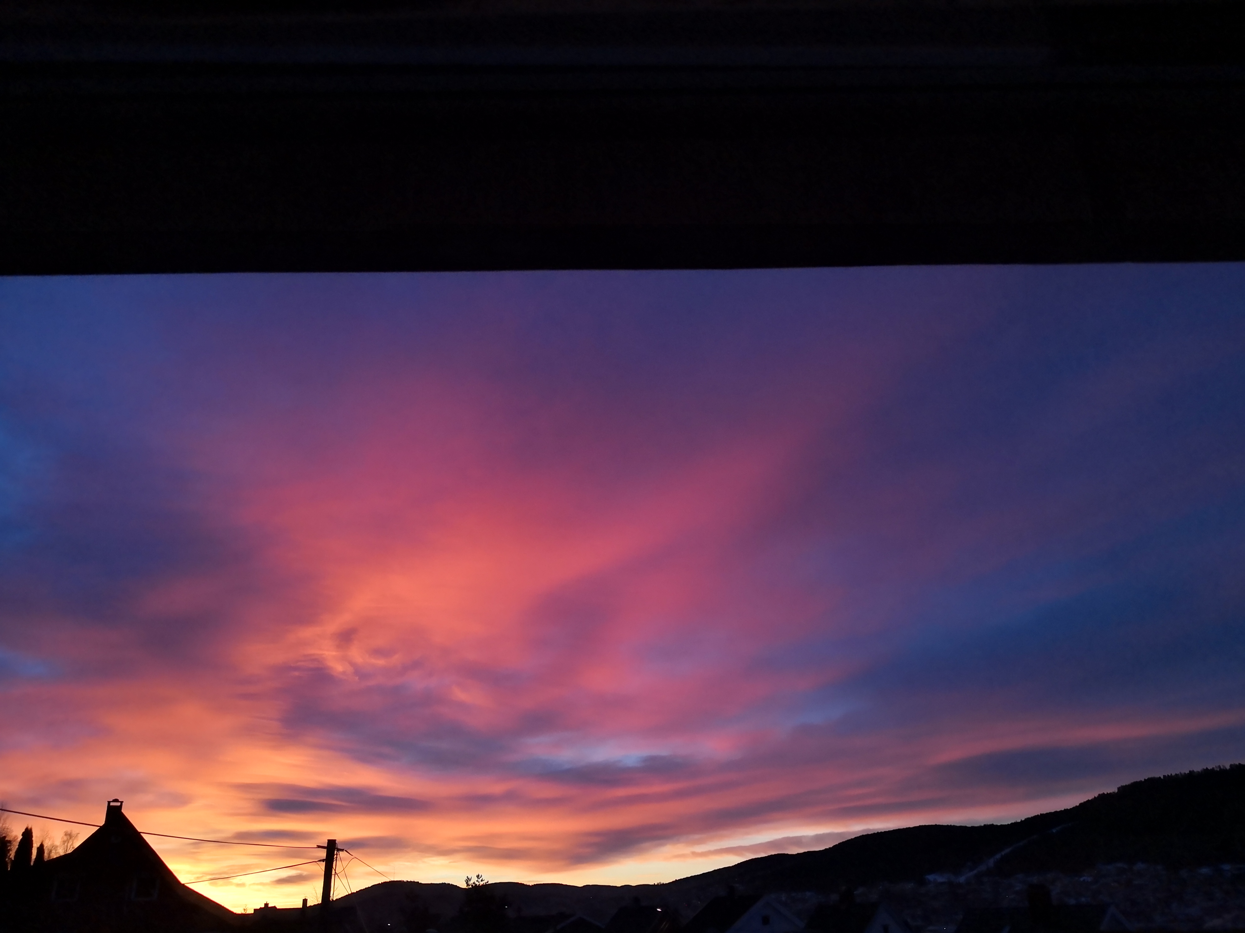 IMG_20220125_083155.jpg