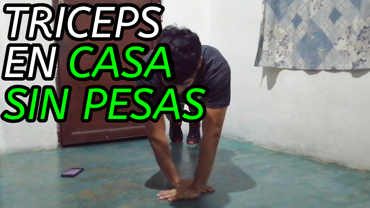 Triceps discount sin pesas