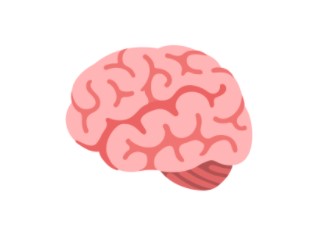 cerebro.jpg