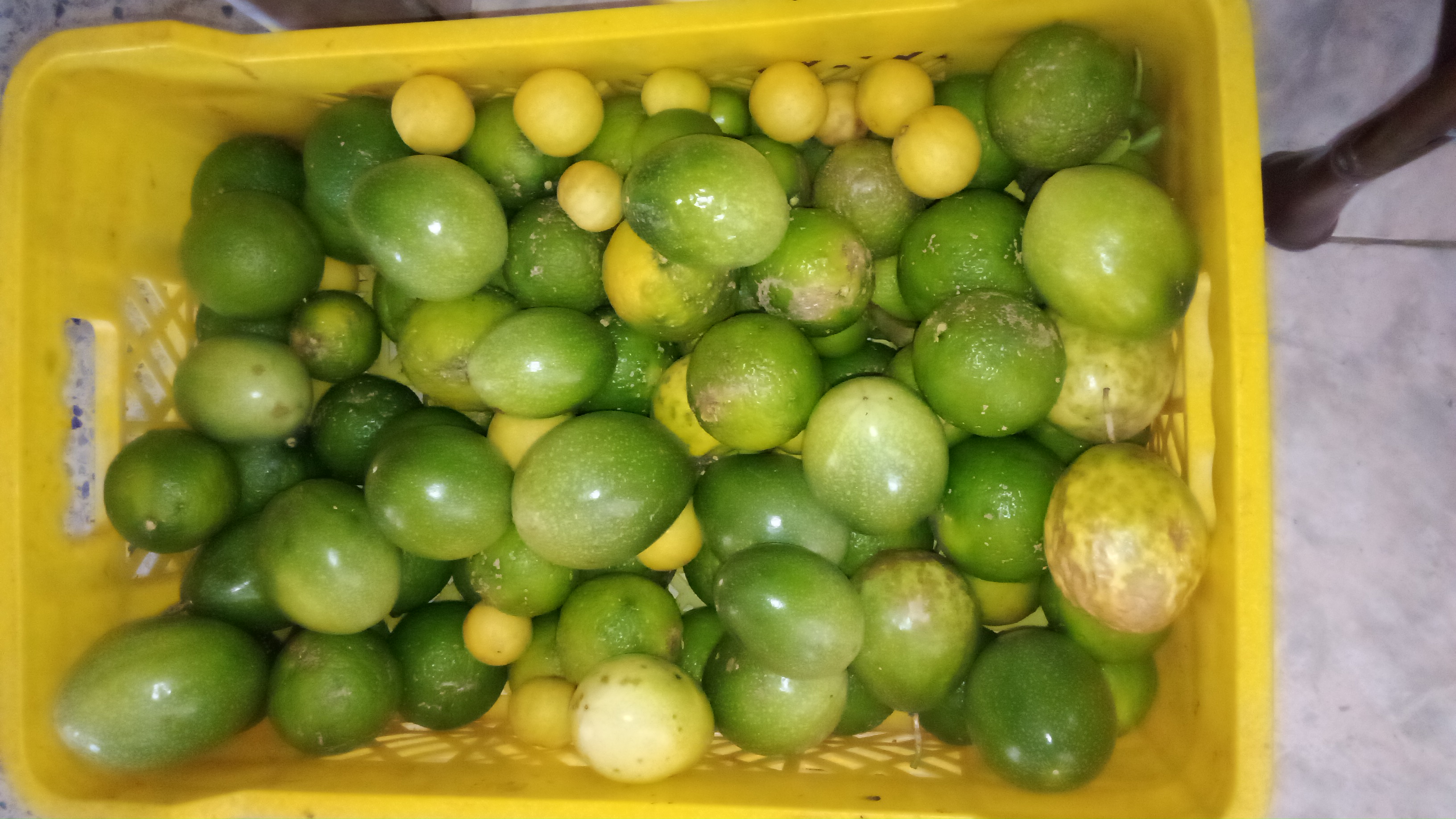 IMG-20231205-WA0021.jpeg