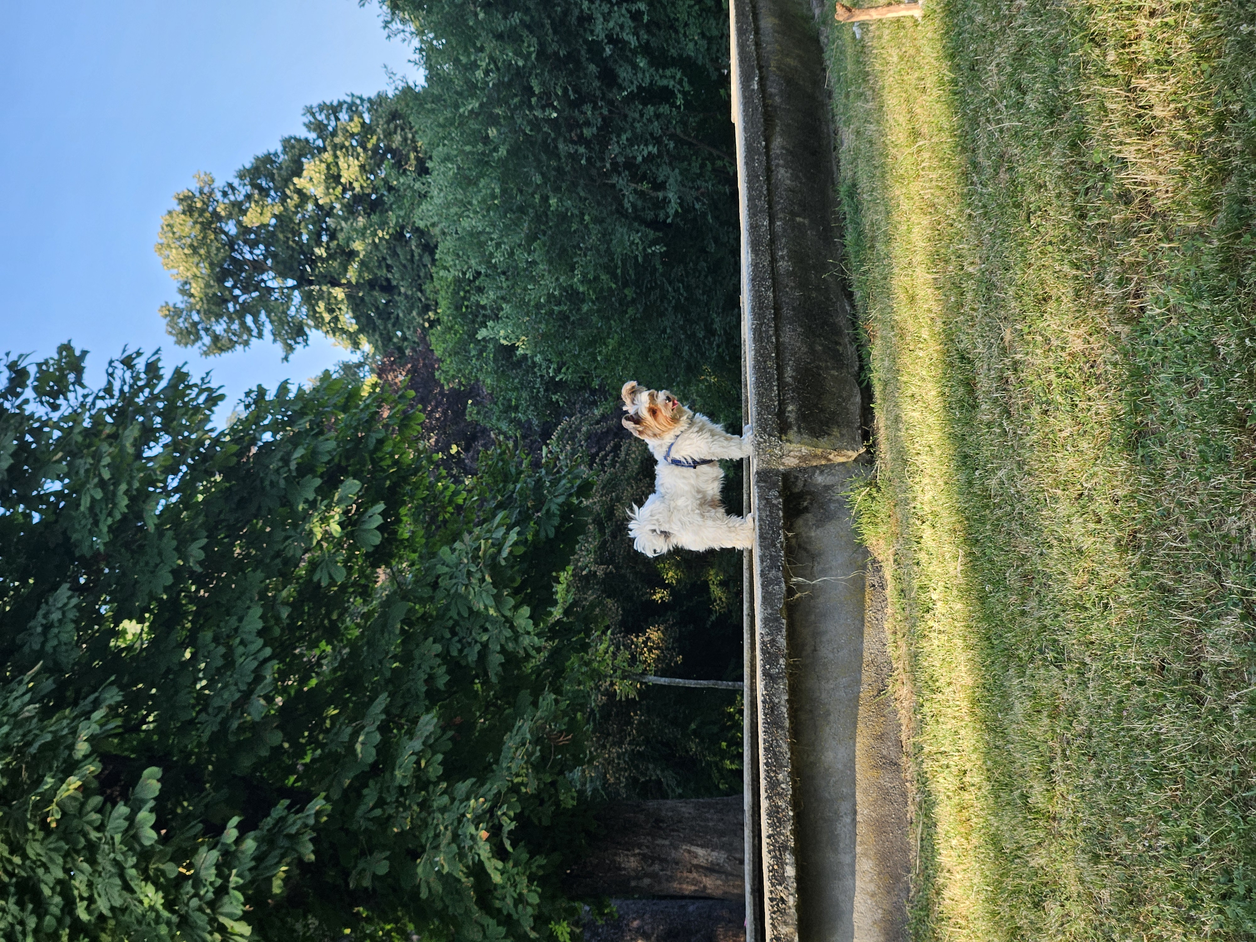 20250622_192849.jpg