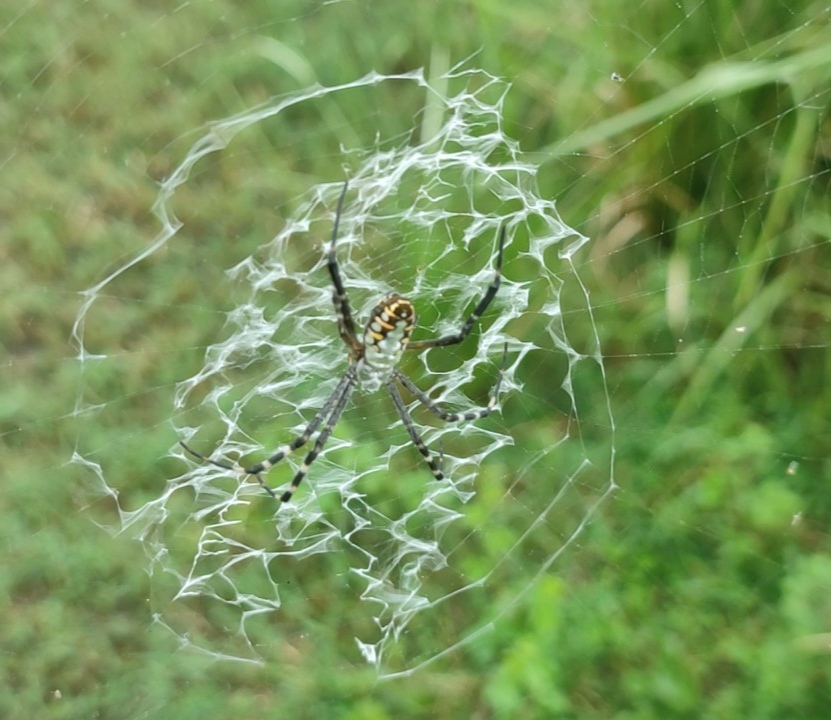 IMG_20250809_170939.jpg