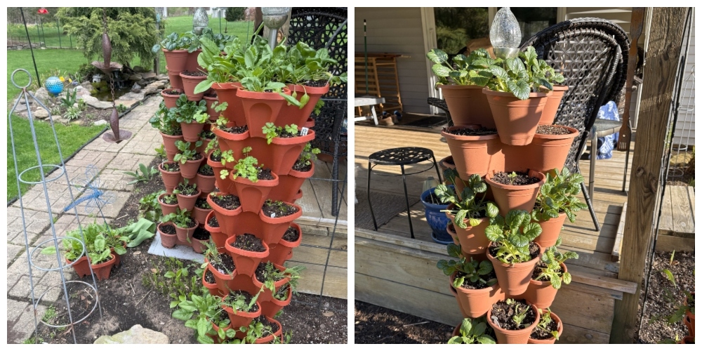hivegarden-tower-garden.jpg