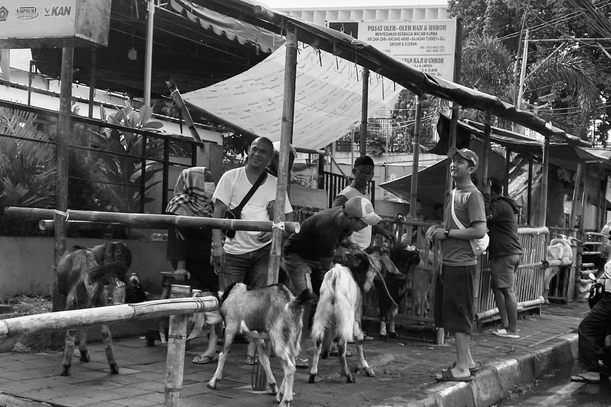 image00001-02-min.jpeg