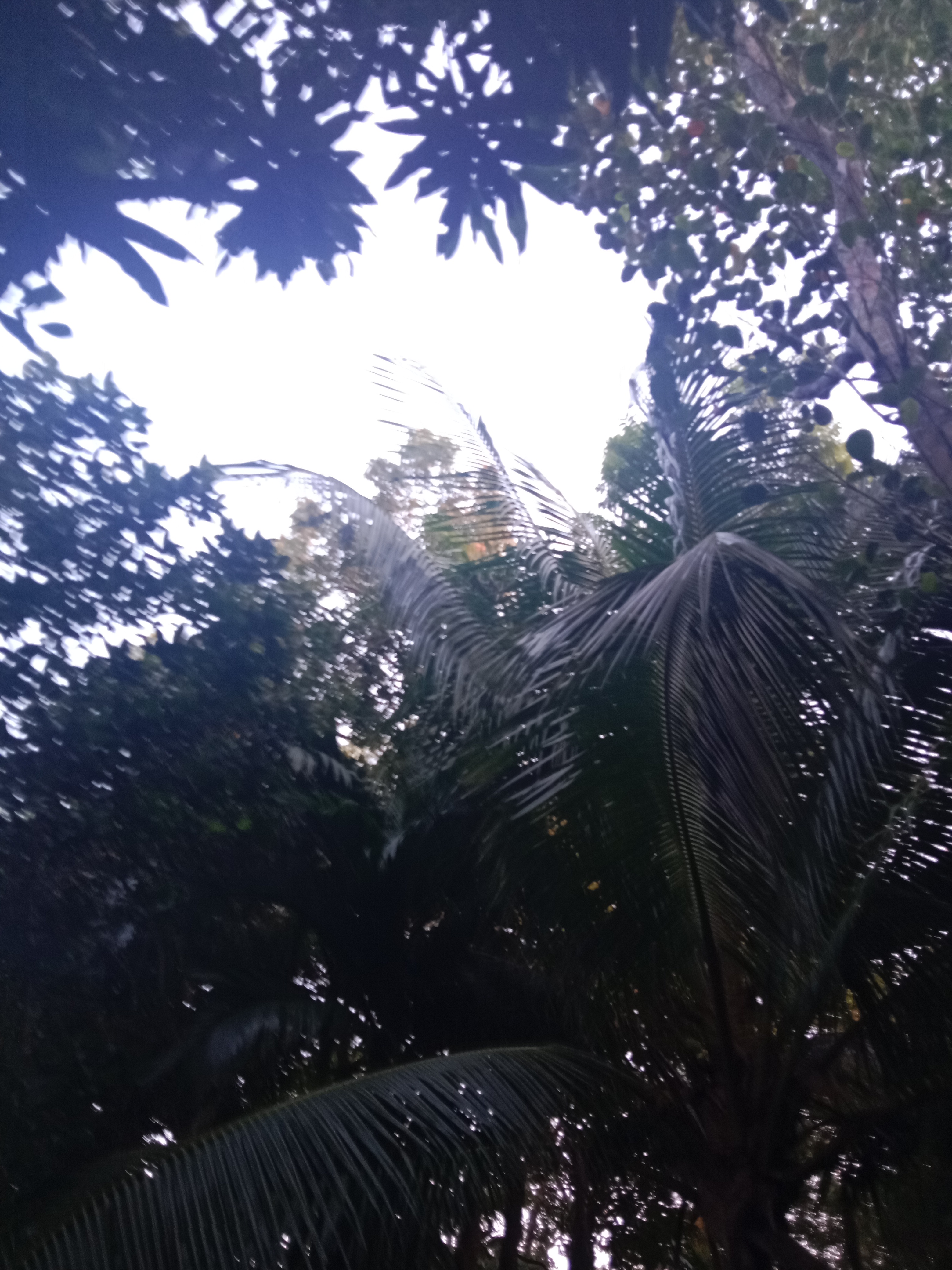 IMG_20211217_164159.jpg