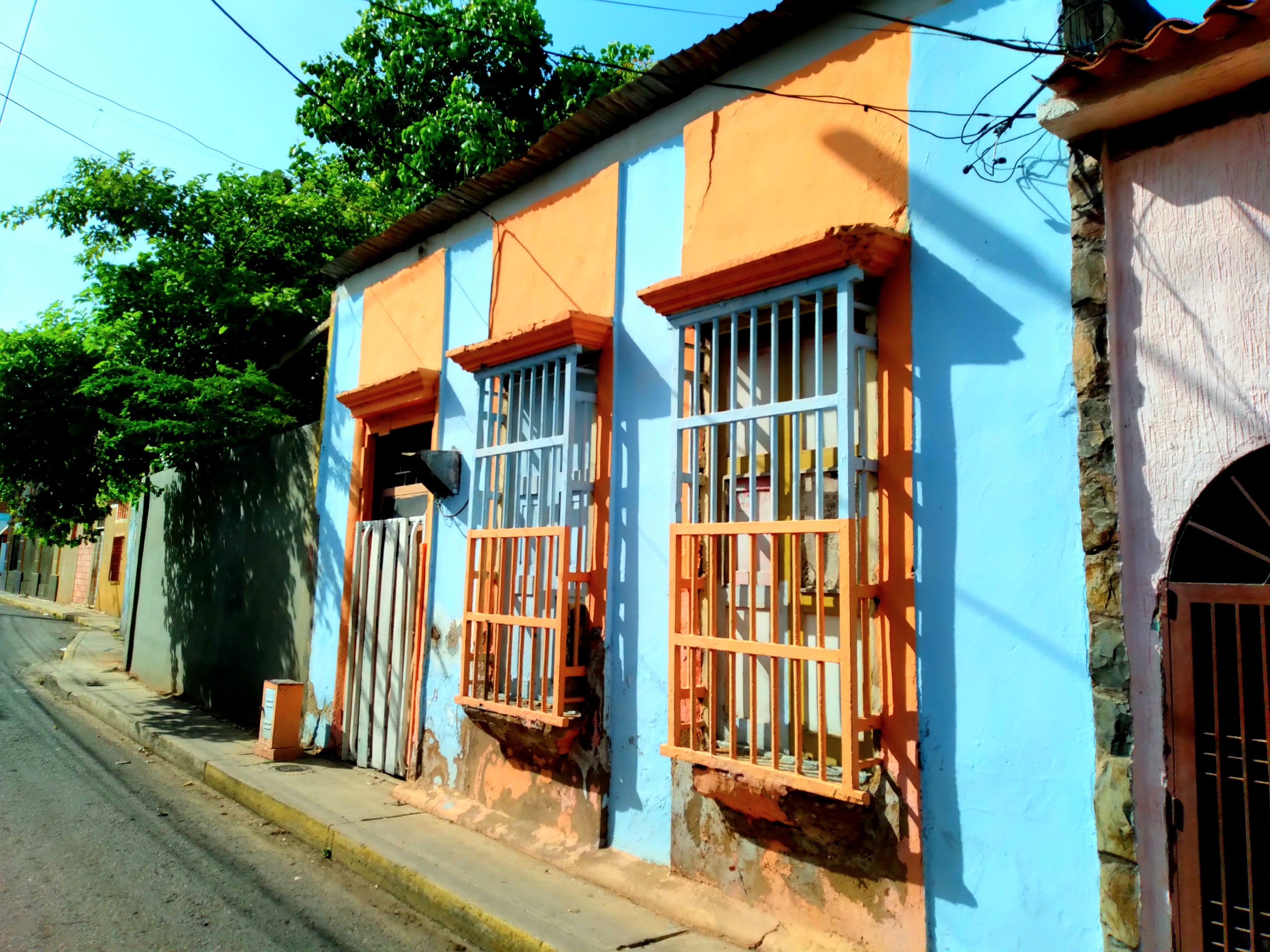 20250604_091658.jpg