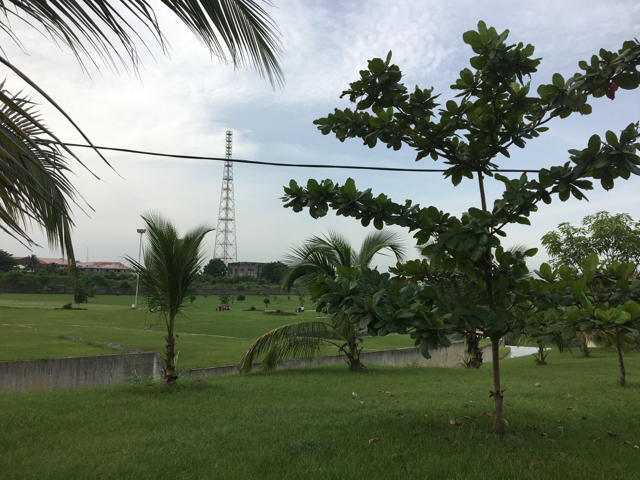 62D3B9C9-3559-4CDC-AB16-E477506BB3BC.jpeg