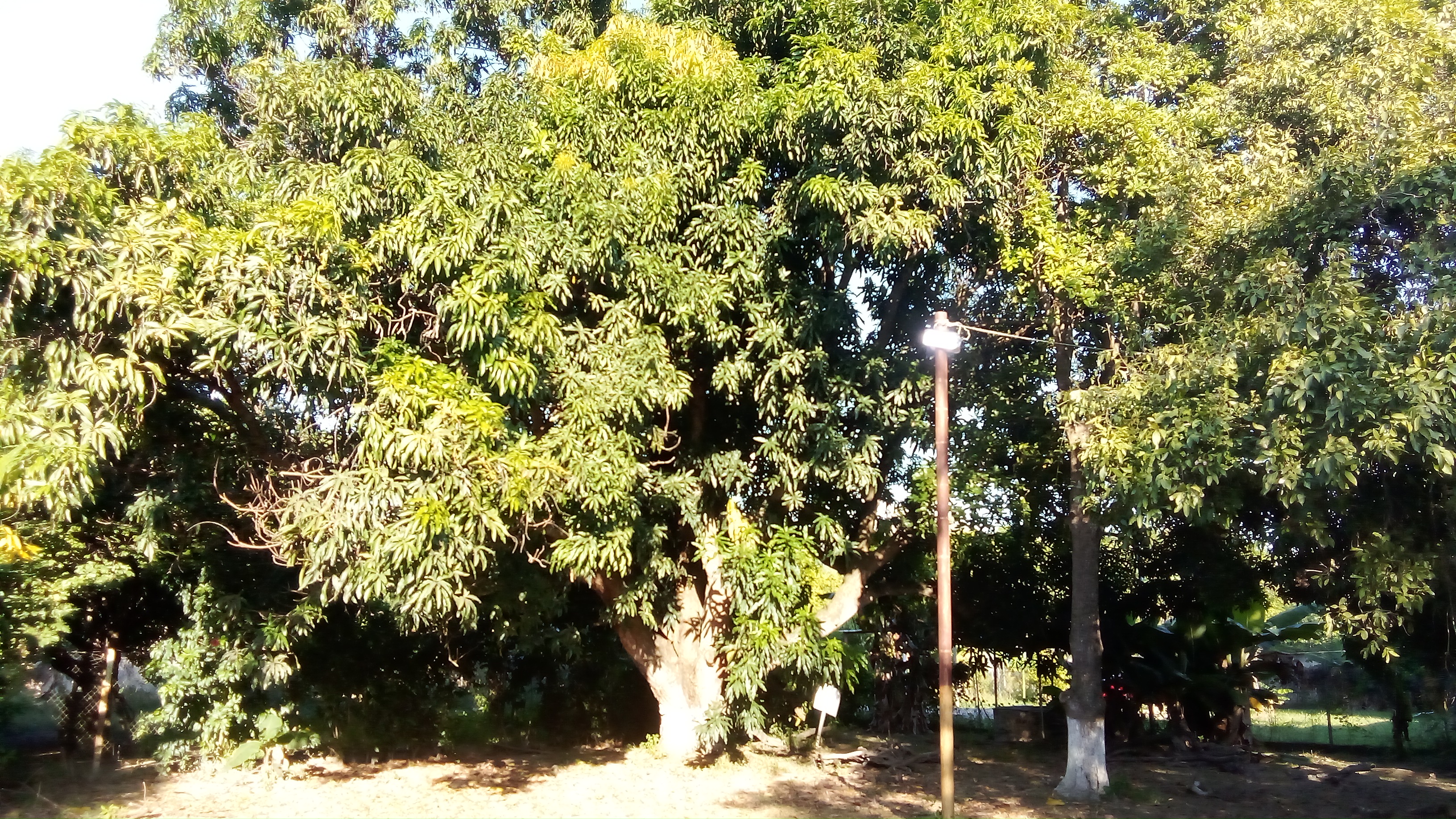IMG-20231203-WA0154.jpeg