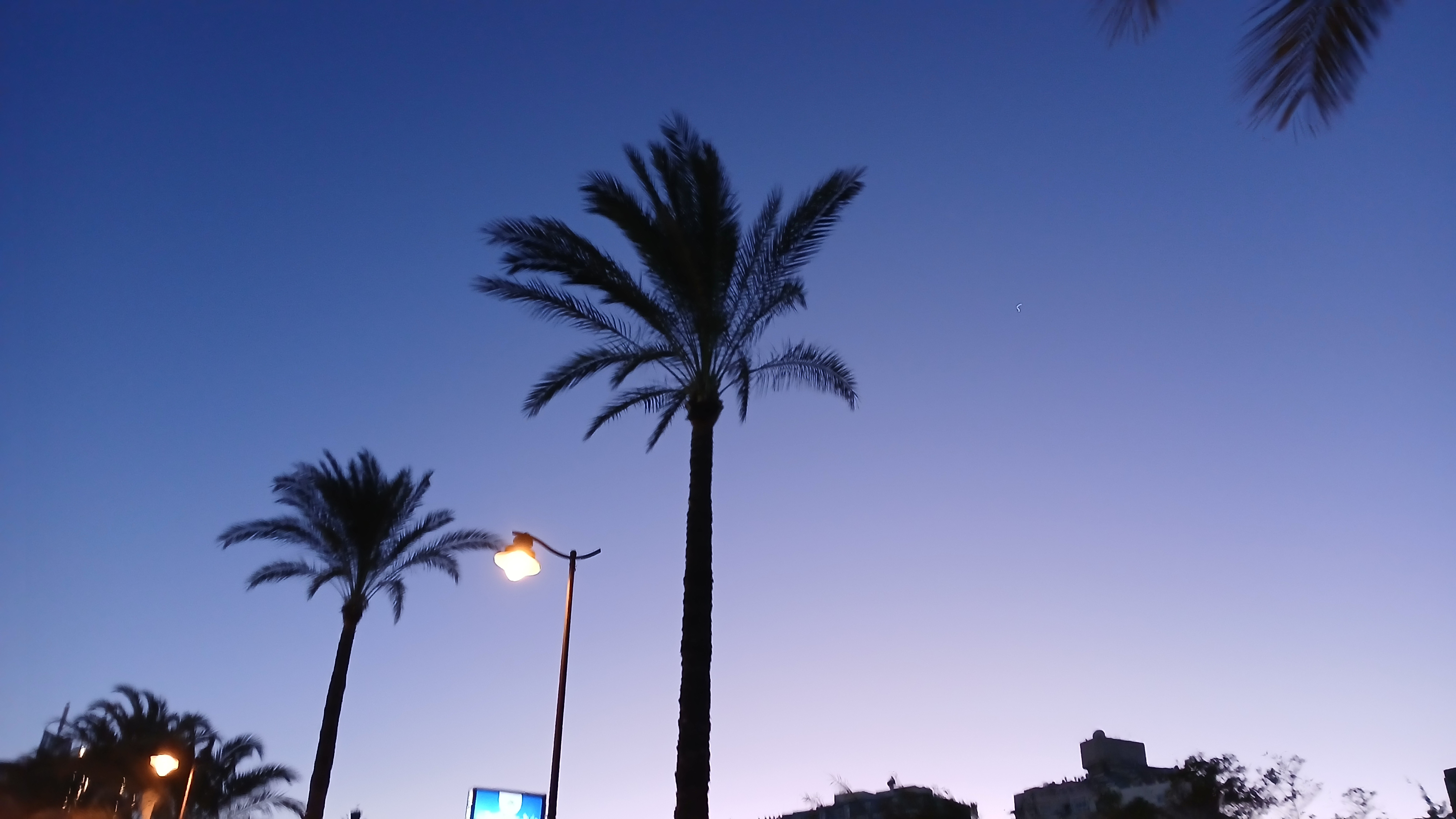  "20250216_100815_copy_8160x4592.jpg"