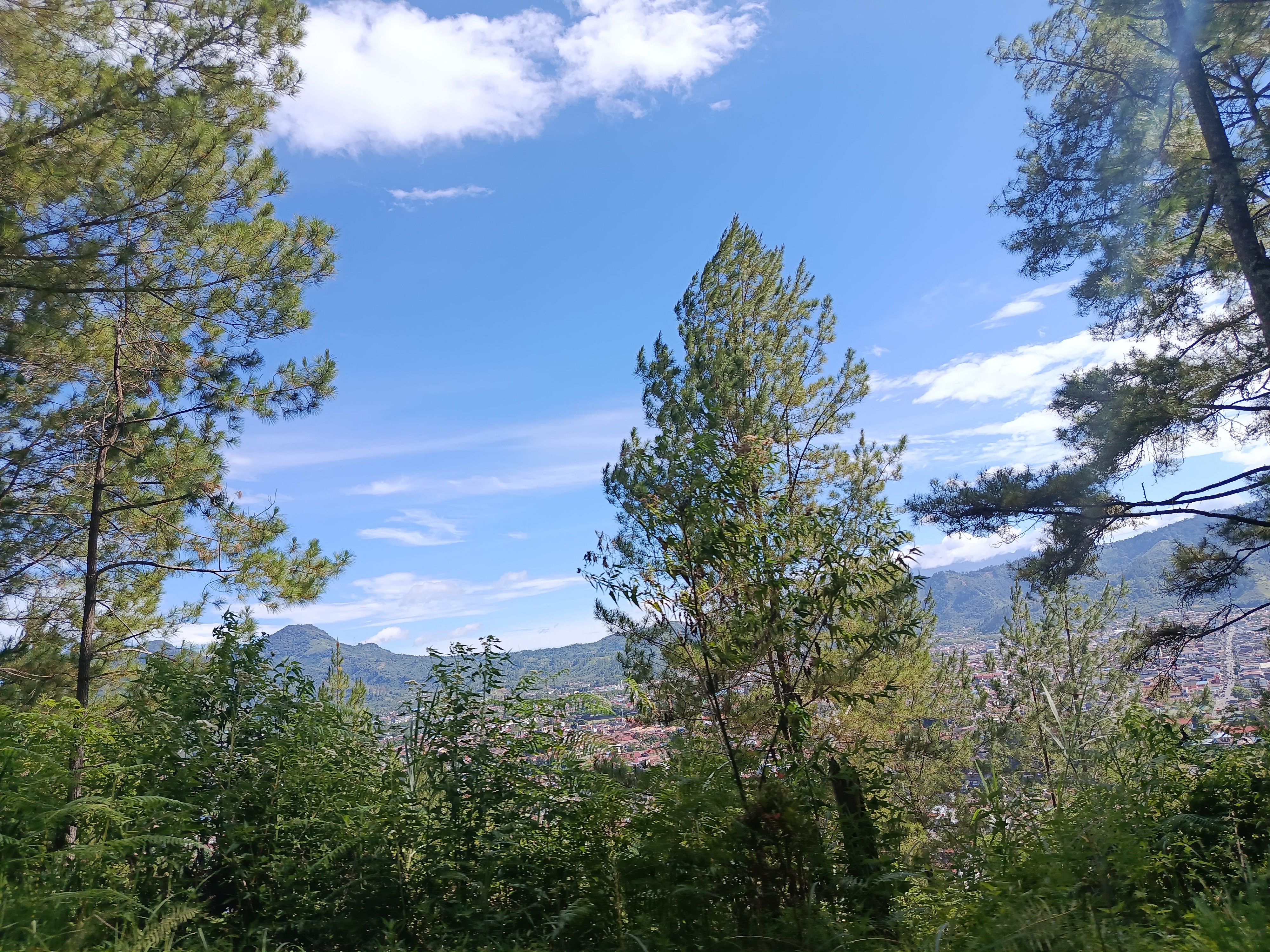 IMG_20250611_101021.jpg
