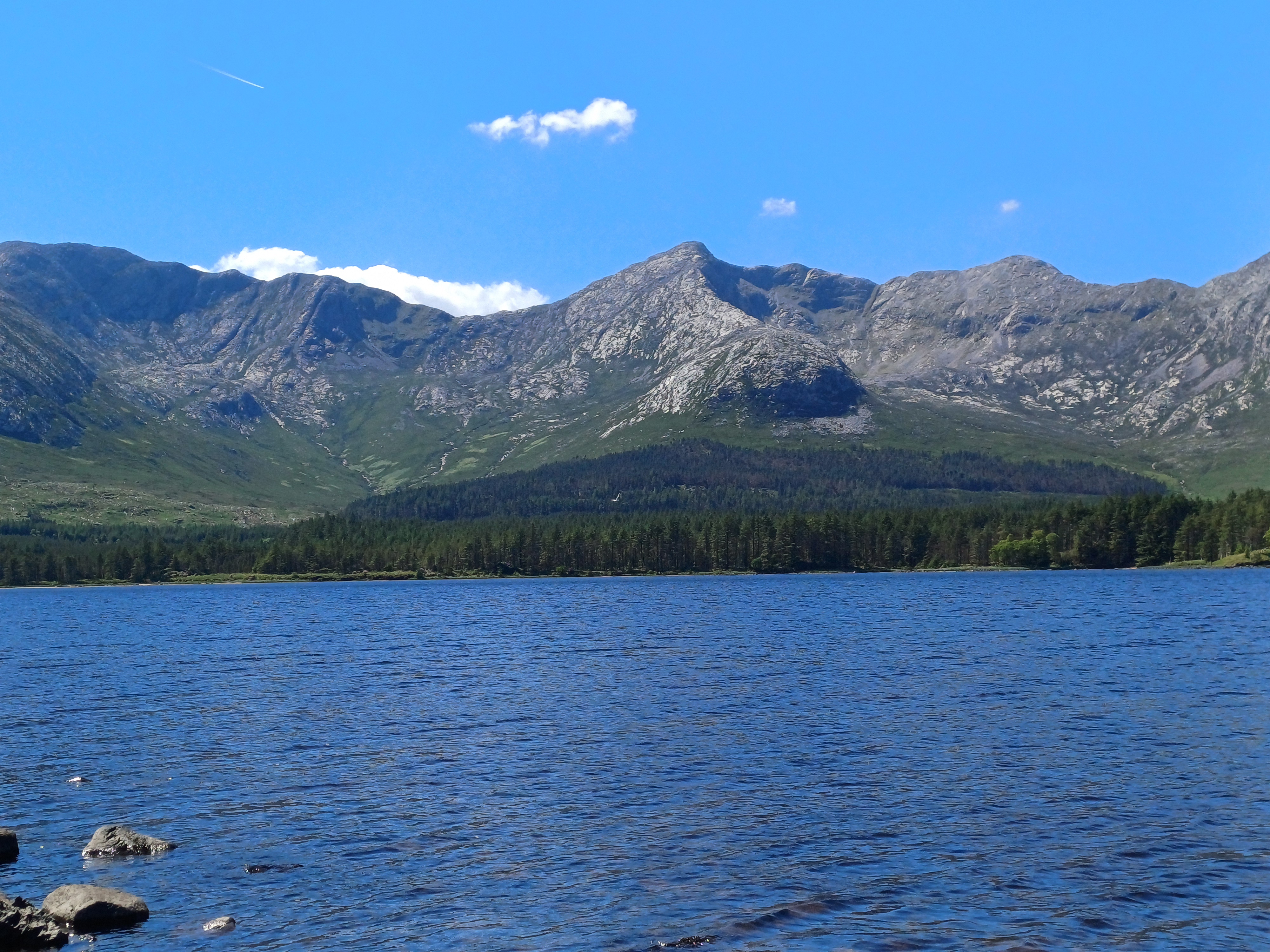 20250518_144155.jpg