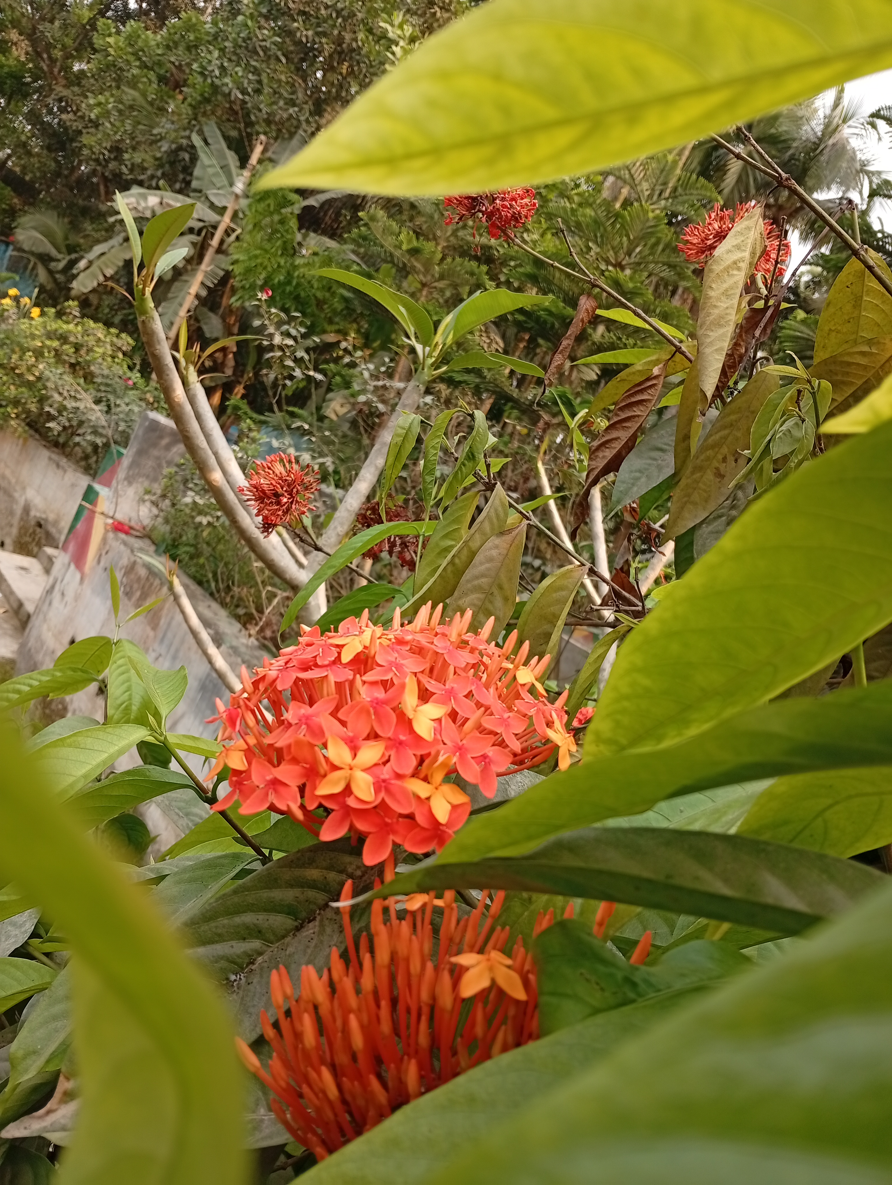 IMG_20250320_151915.jpg