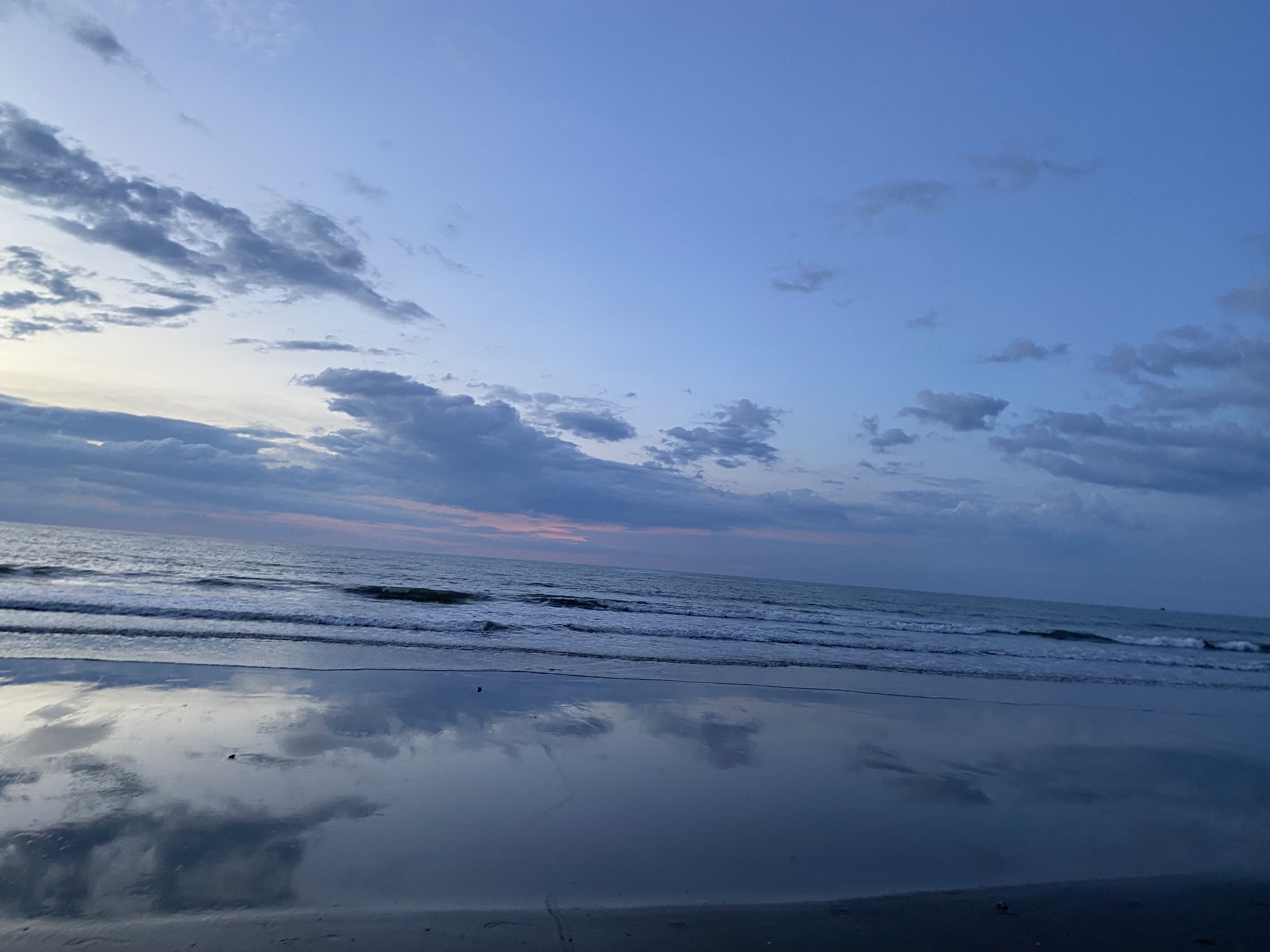 IMG_0212.jpeg