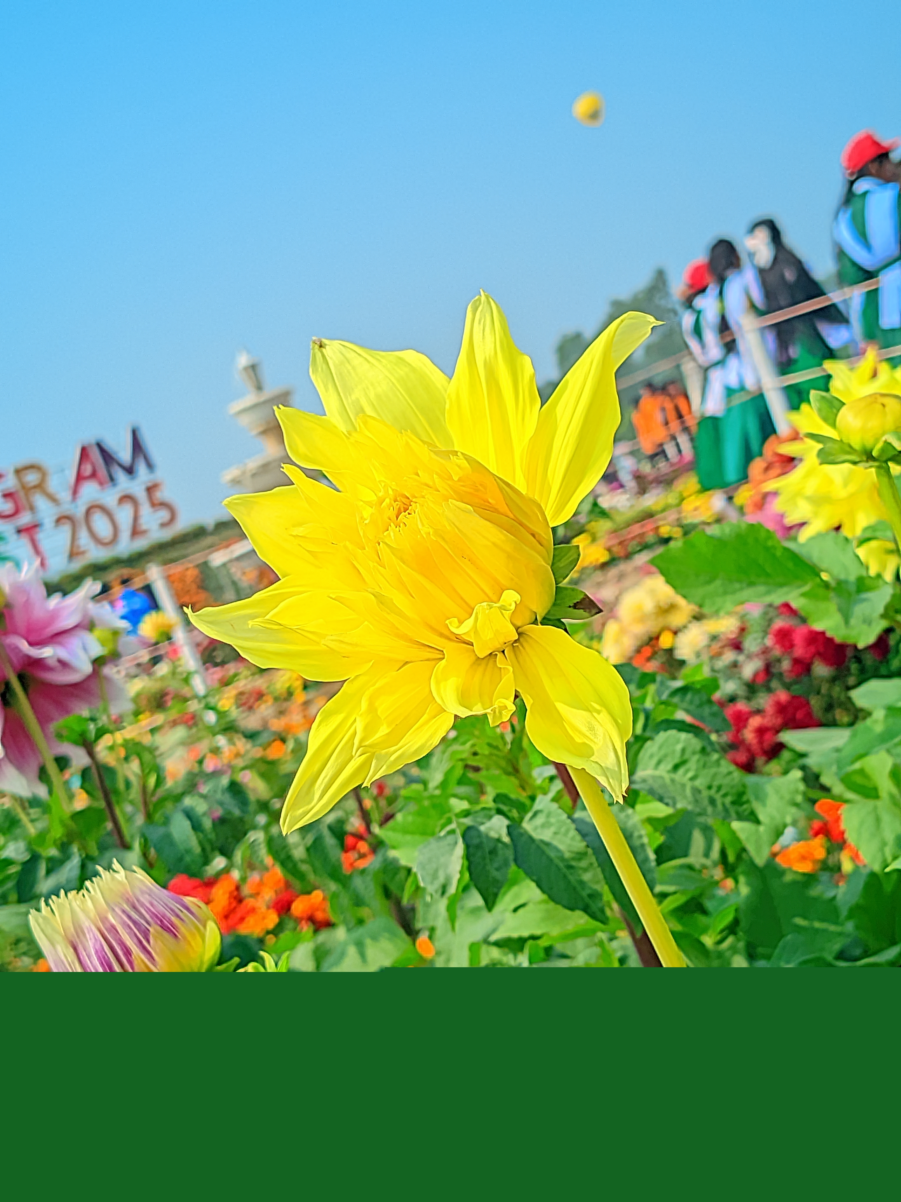 LMC_20250122_115942_🌈Color boost by Riyan .jpg