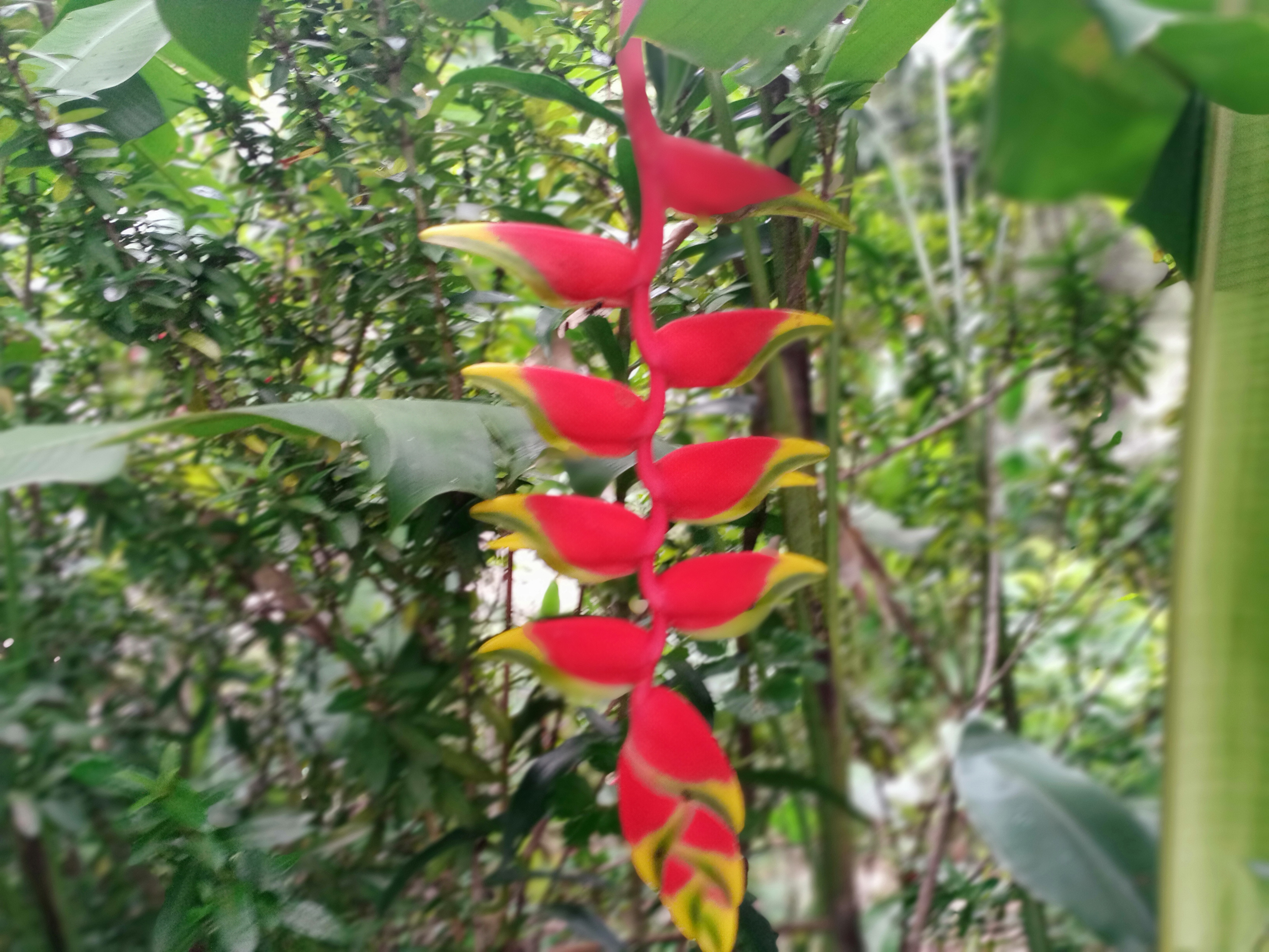IMG20220108112910.jpg