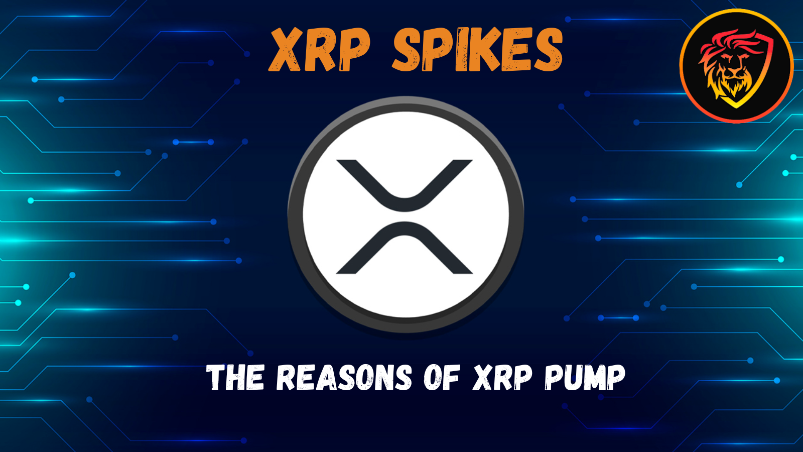 @idiosyncratic1/xrp-spikes-to-4-month-ath-in-crypto-bear-market