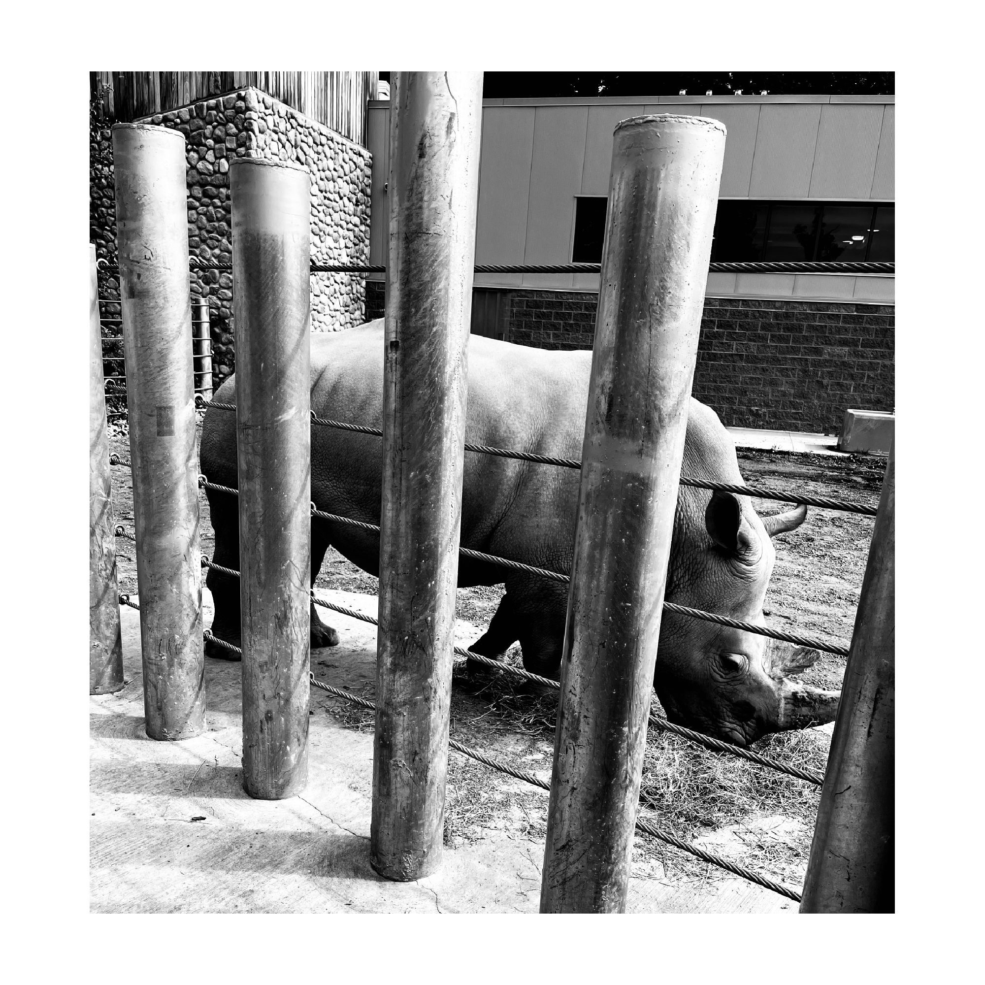 IMG_9678.jpeg