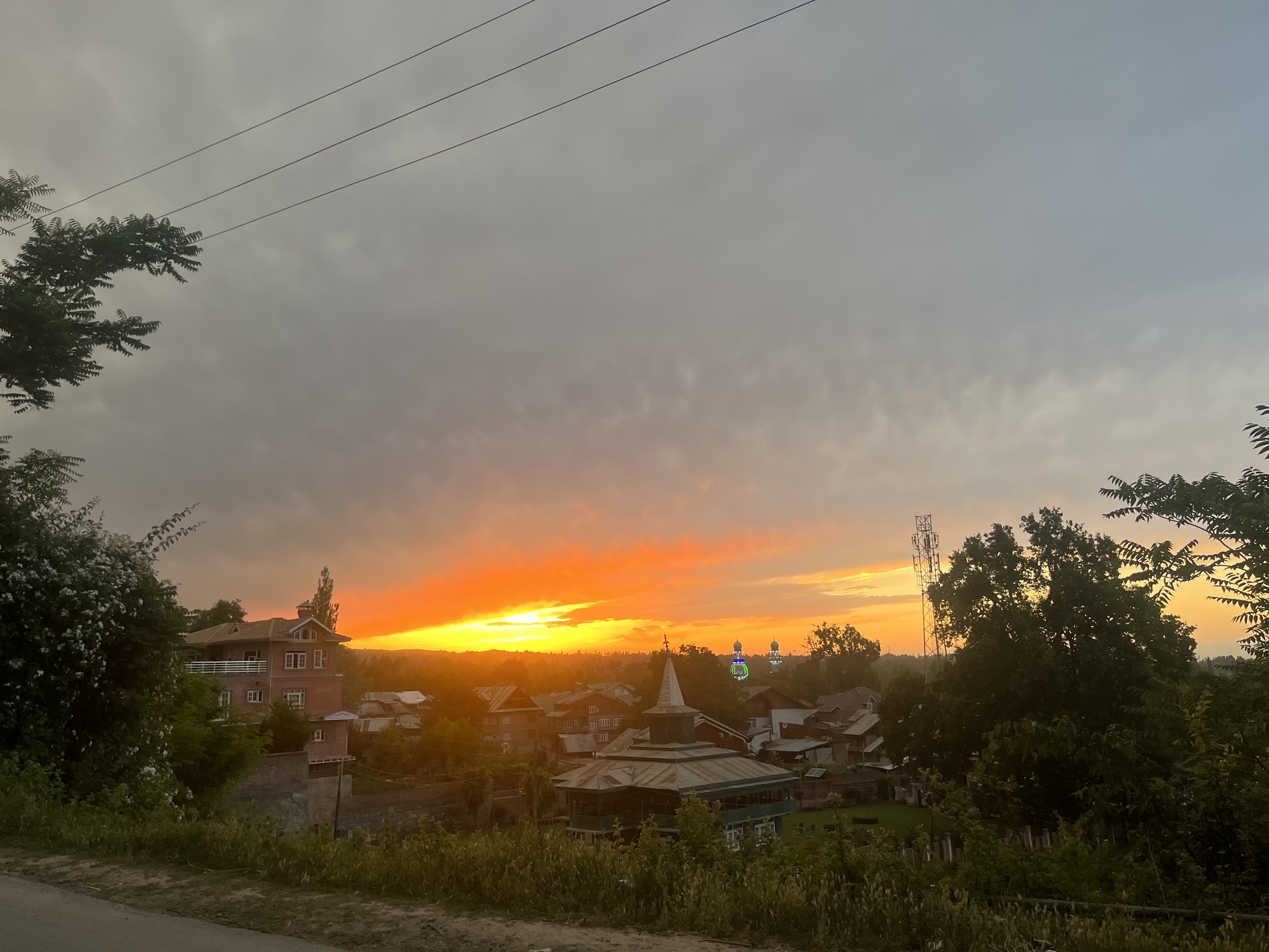 IMG_2931.jpeg